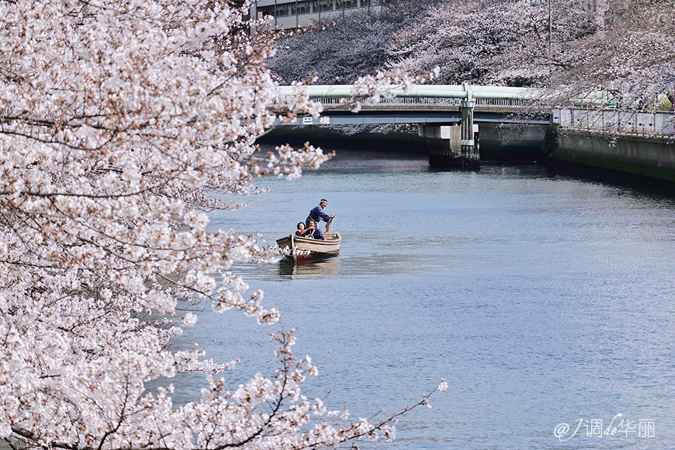 深川