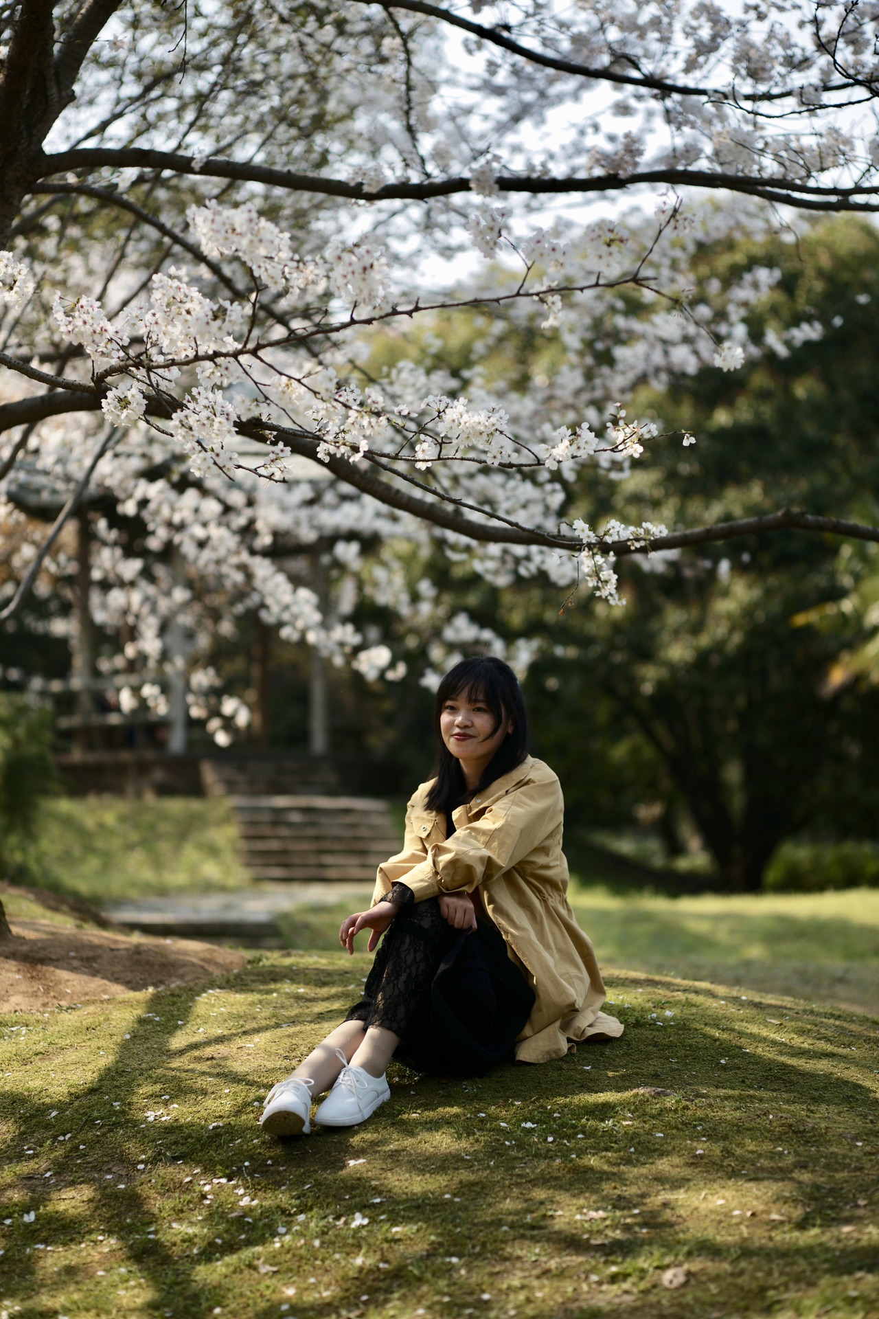 鼋头渚·【樱花之旅】,拍出无人干扰的人像取景点推荐