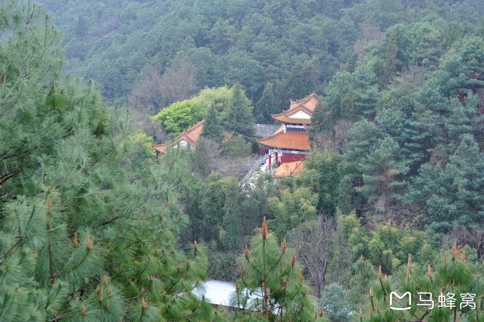 法界寺森林公园        