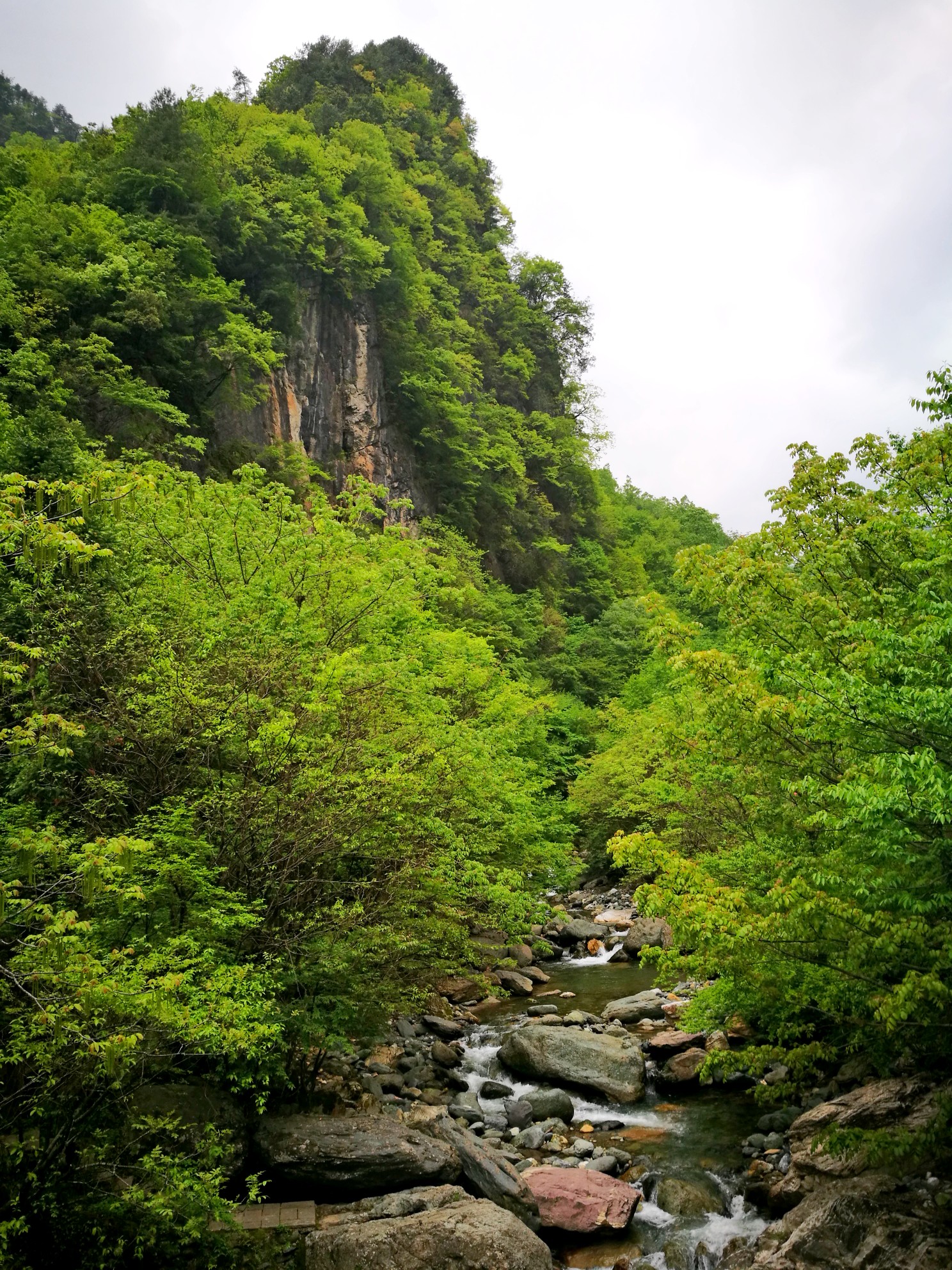 神农架～官门山景区