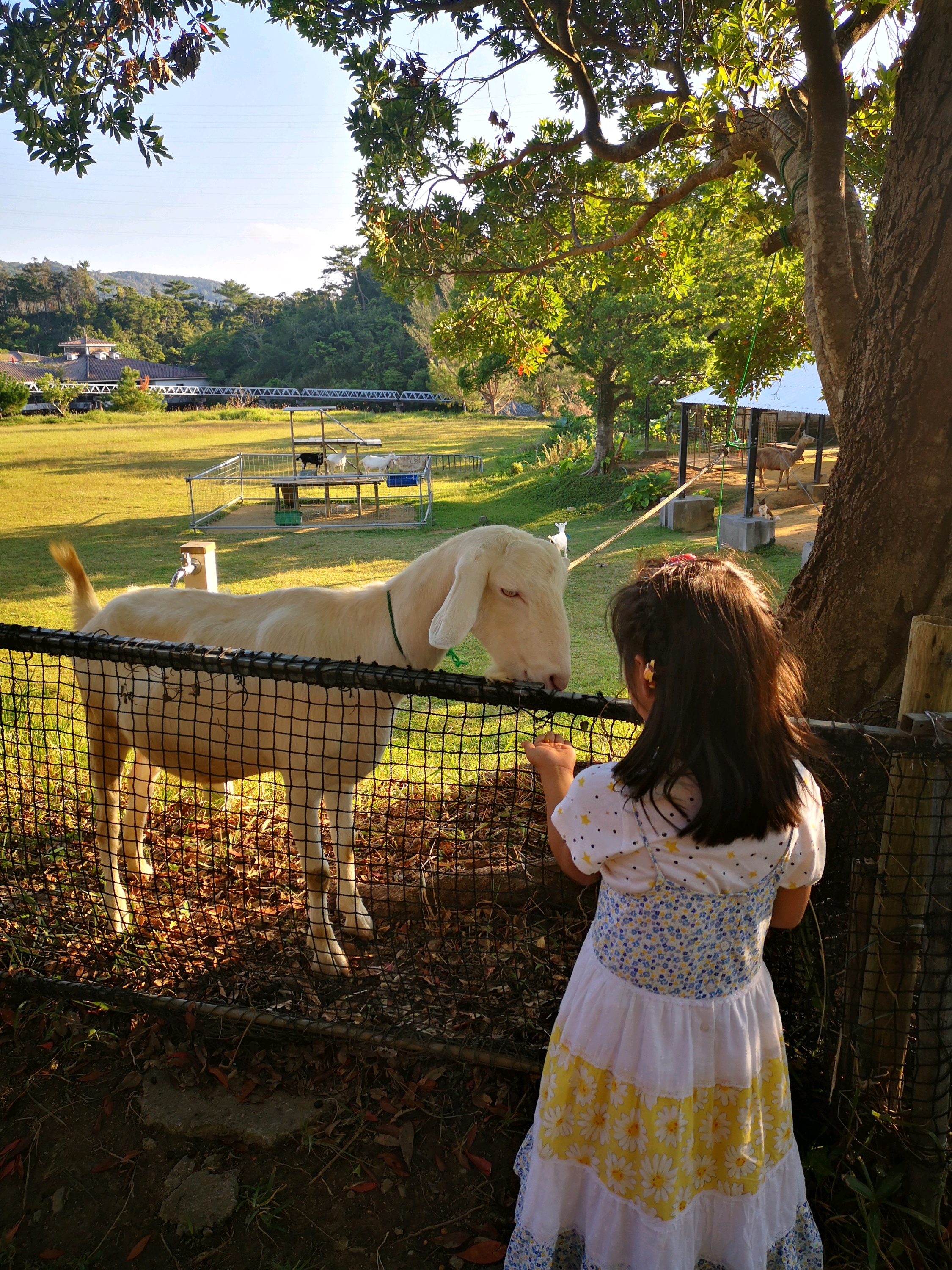 wKgEaVzBM8CAAs8IAC16McZx9_U42.jpeg?imageMogr2%2Fthumbnail%2F%21690x370r%2Fgravity%2FCenter%2Fcrop%2F%21690x370%2Fquality%2F100