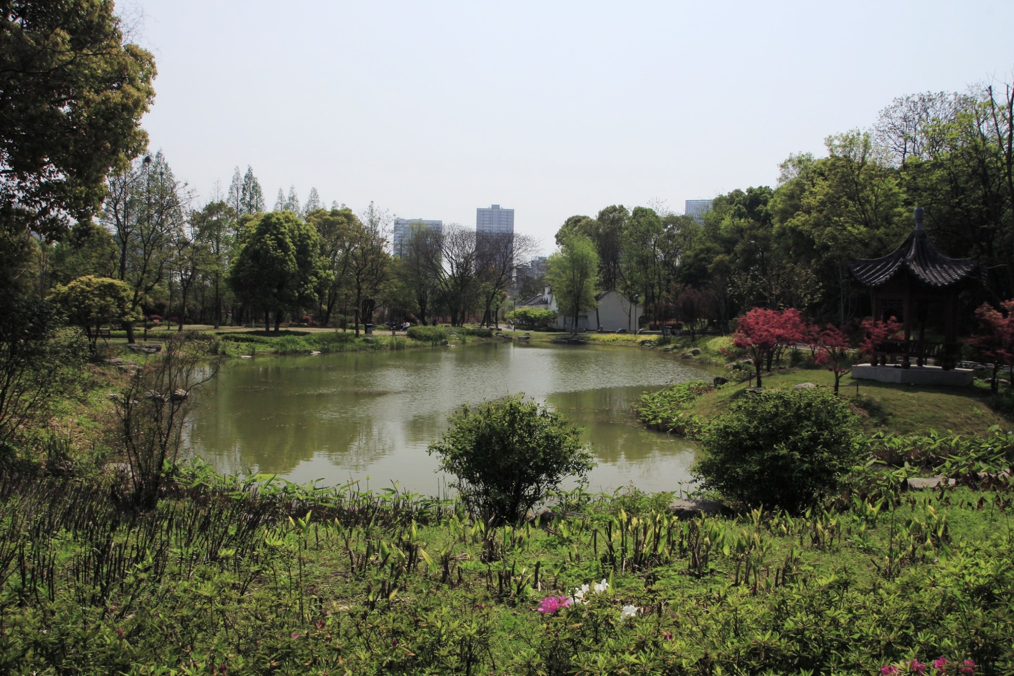 武汉青山公园踏青图记
