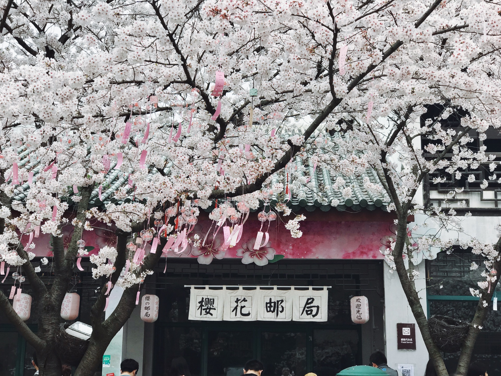 樱花邮局