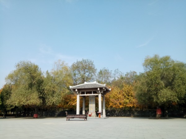 聊城阳谷游玩攻略,聊城阳谷游玩攻略一日游