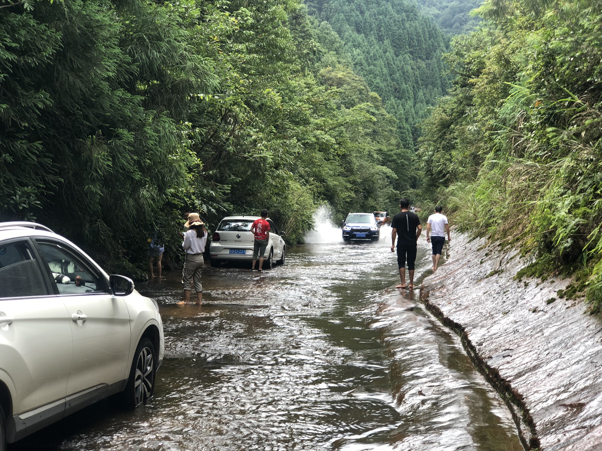 夏日重庆的小众玩水地飞鸽林场