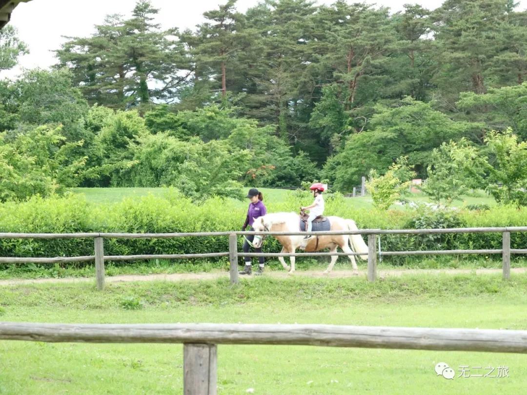 日本 自由行攻略 观完花,就去小岩井农场,这里