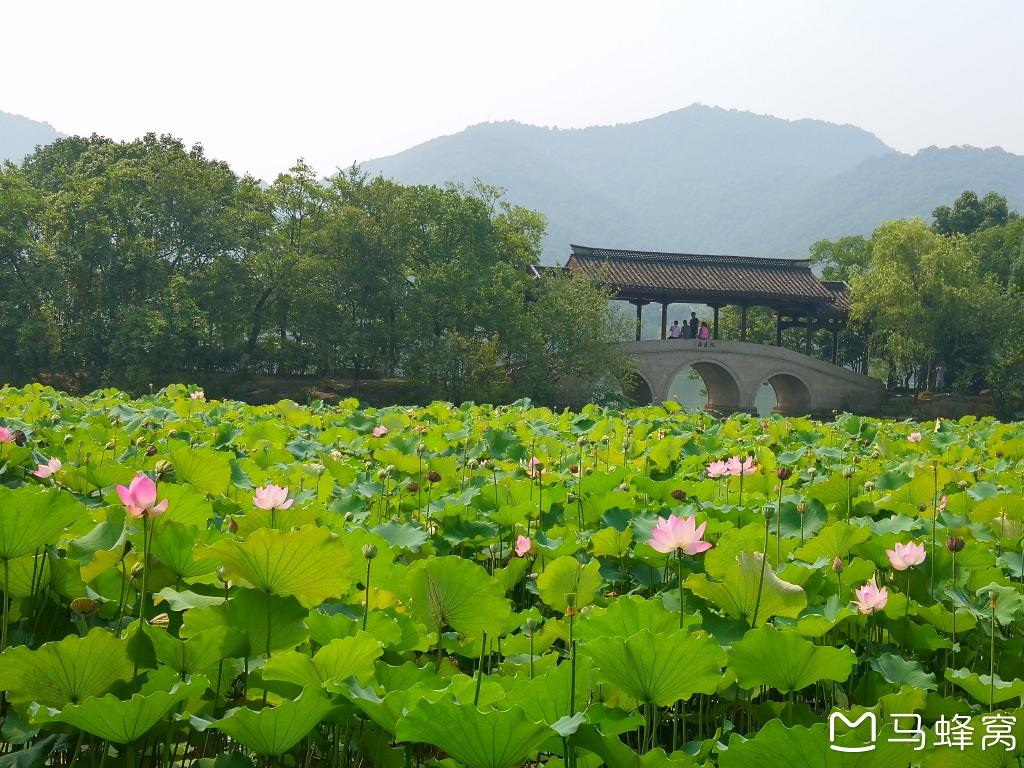 暑天游览杭州萧山的"湘湖"之"荷花庄"----走遍杭州