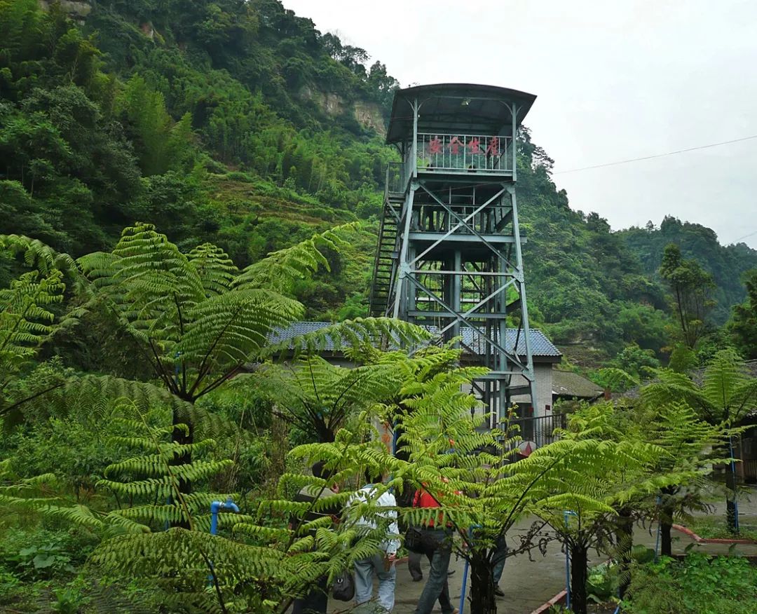 乐山还有一个精彩好去处!来嘉阳·桫椤湖旅游景区耍