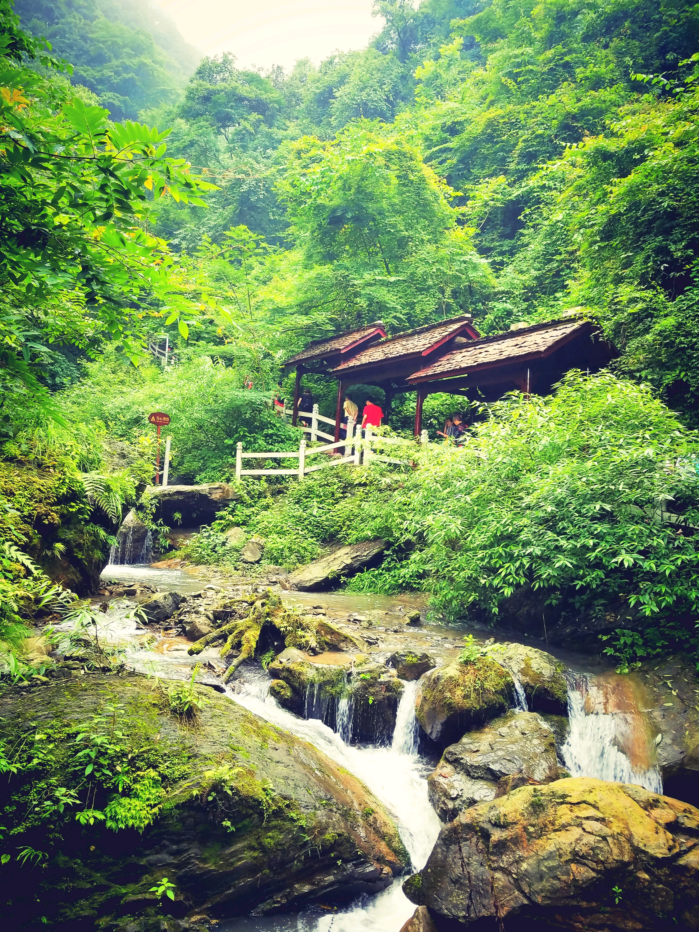 什邡景点介绍,什邡旅游景点,什邡景点推荐 - 马蜂窝