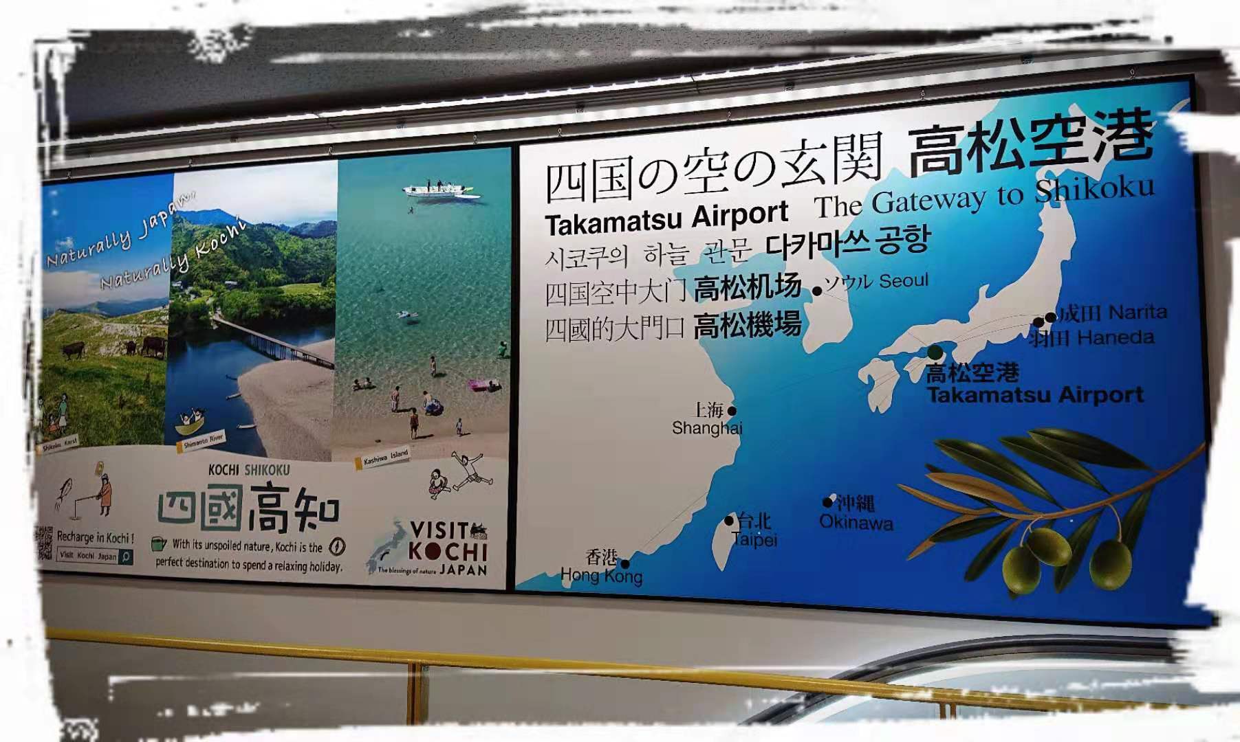 令和夏日的阿波舞 濑户内海的艺术祭 四国自助游攻略 马蜂窝