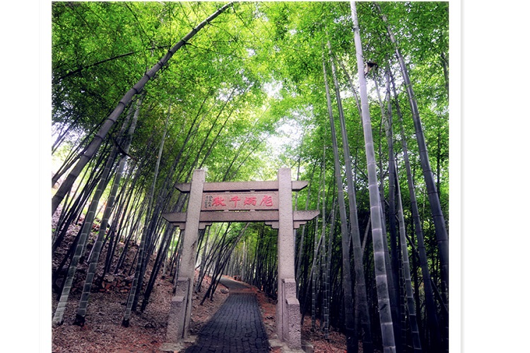 苏州穹窿山门票(此山气势雄伟/苍松翠竹/山色秀美)