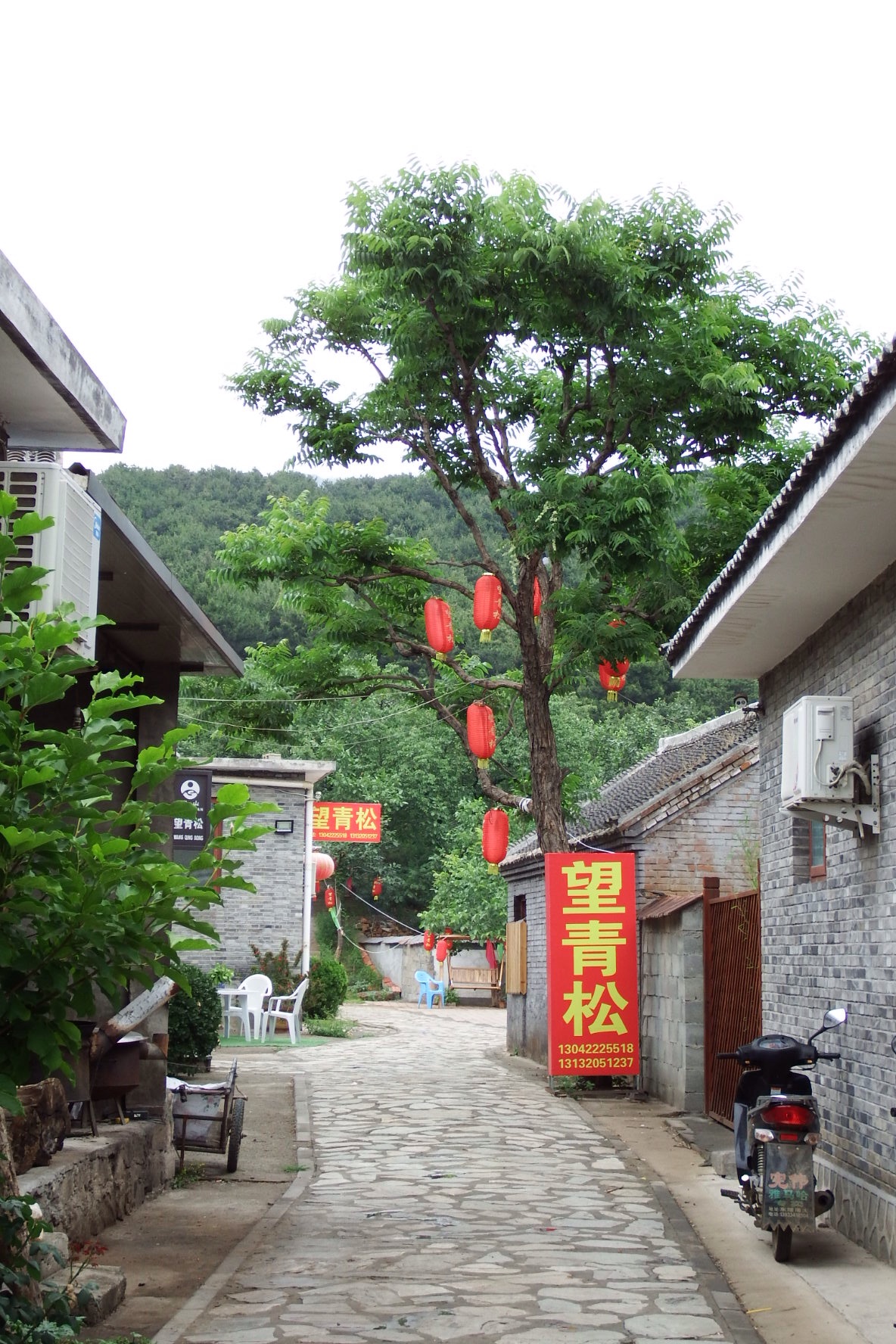 静美东山村