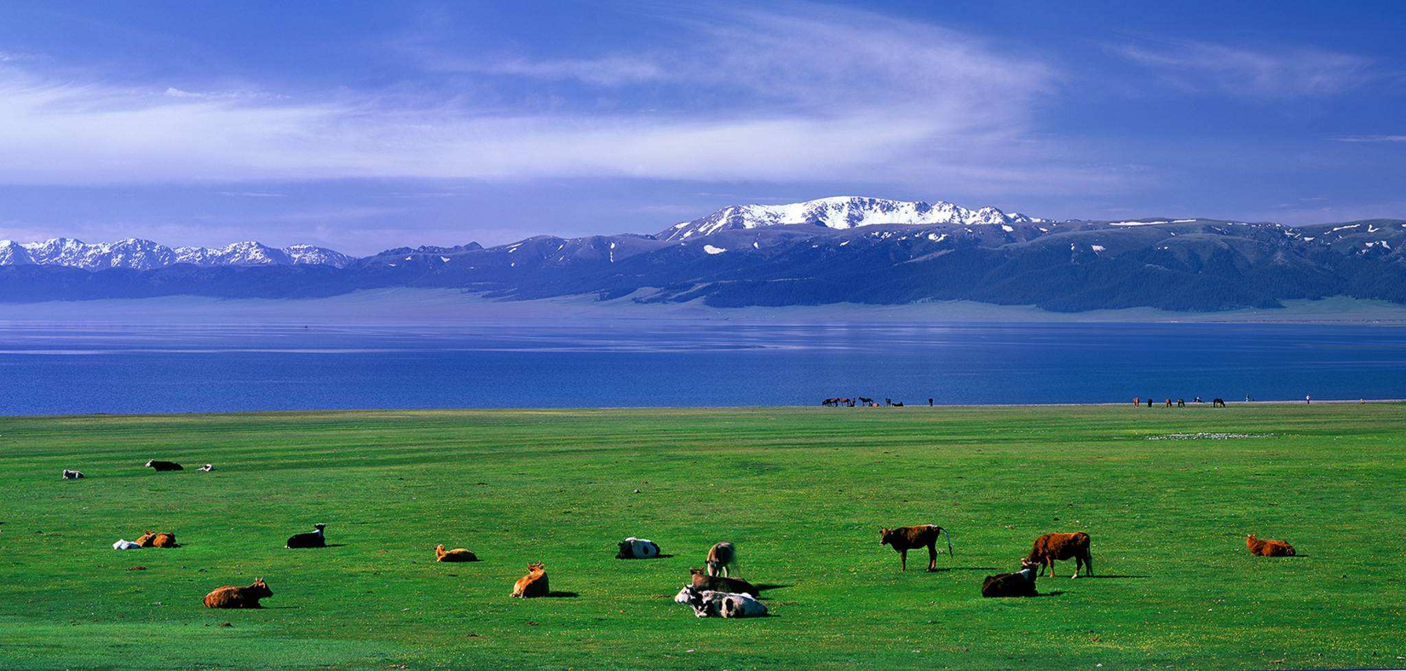 【途牛首发】旅游新疆十天自驾游,在北疆体验一年四季的美景!