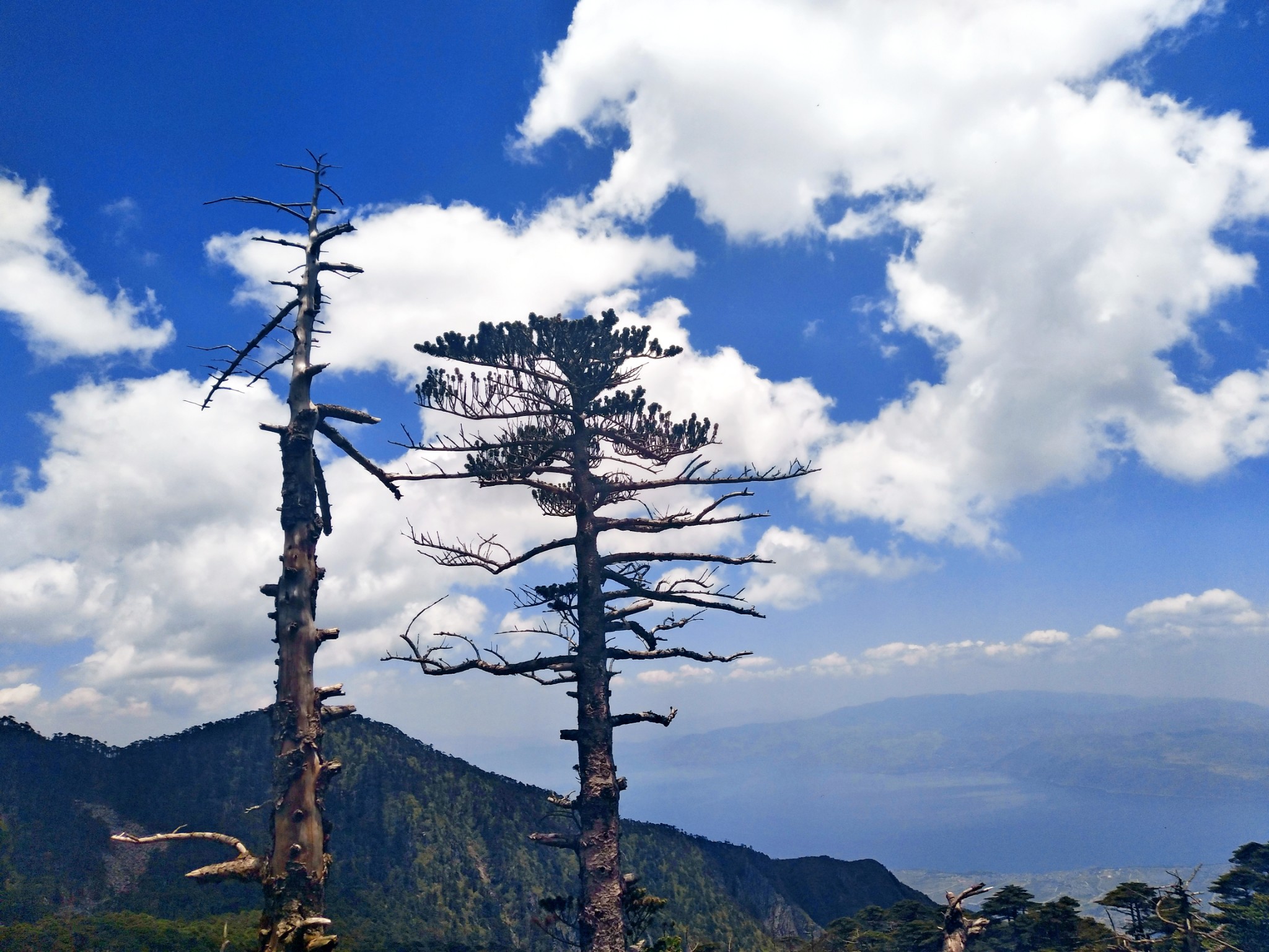 云南初印象丨说走就走闺蜜行,我在苍山巅洱海旁沪沽湖
