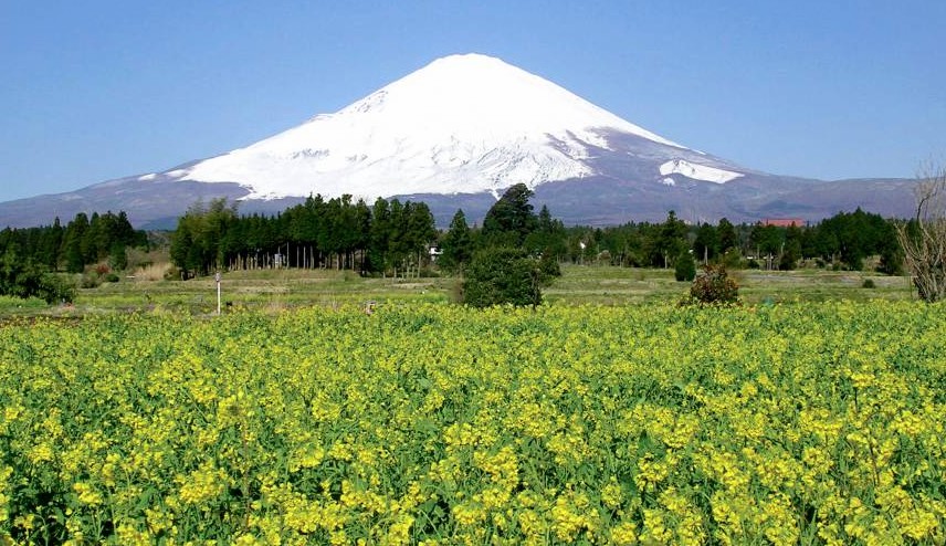 日本自驾天堂「静冈县」梦幻绝景与山葵美食之旅