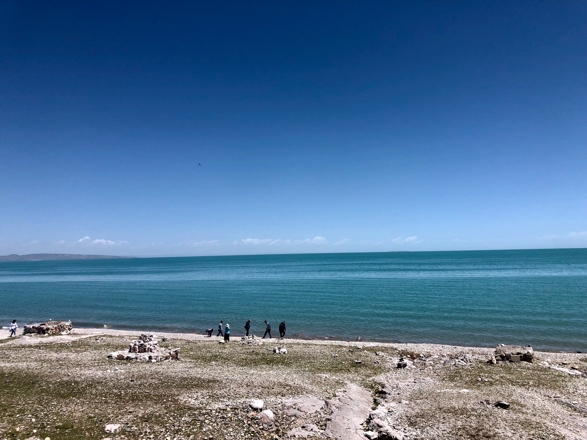 环青海湖全线自驾游记