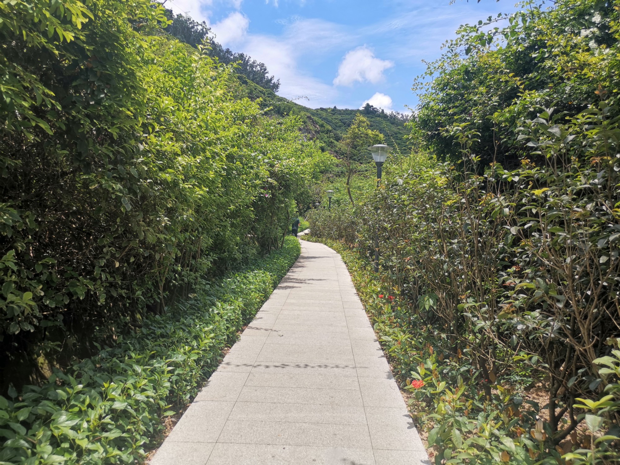 广东省深圳市南山区龙珠六路塘朗山公园