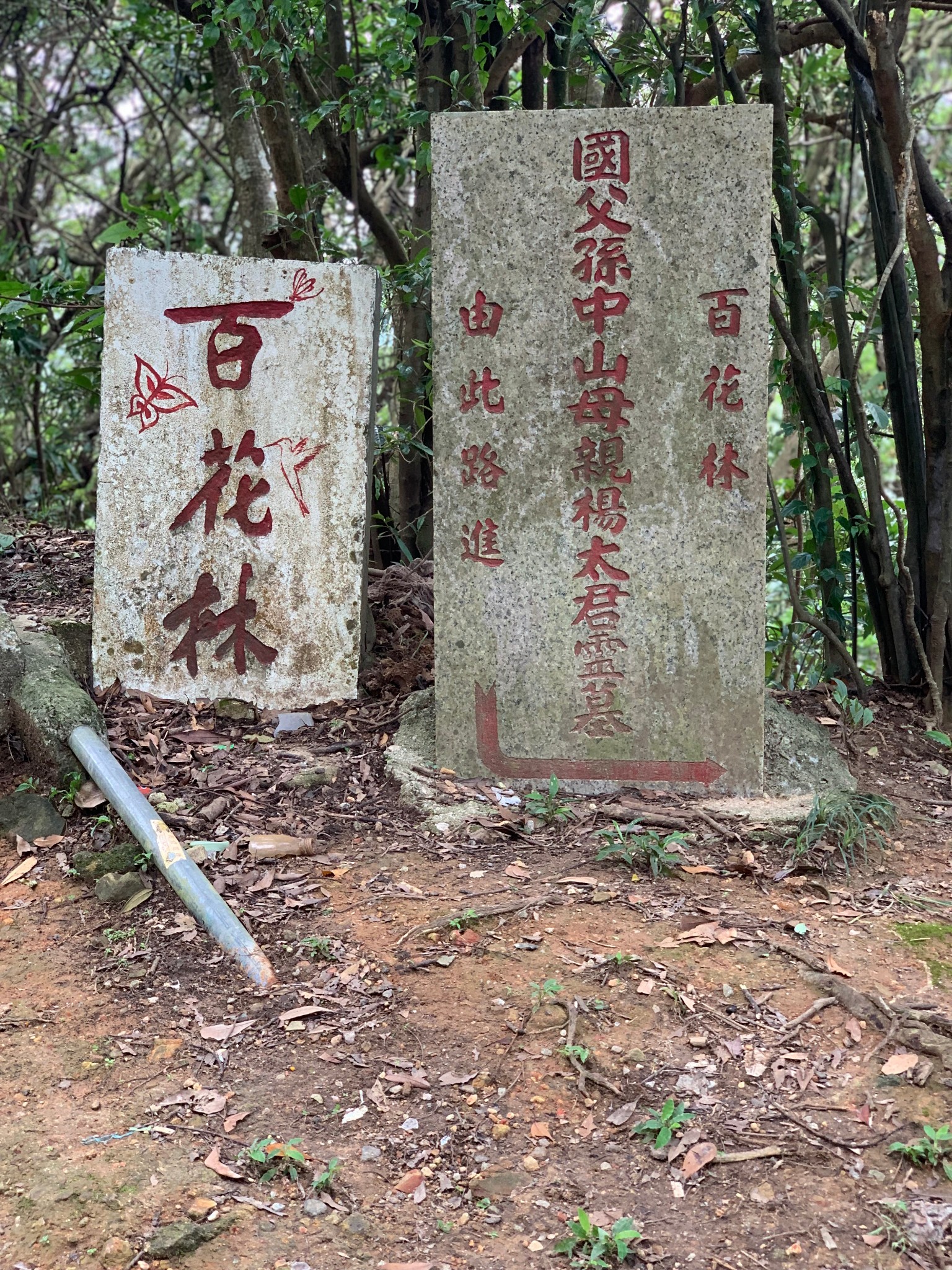 mikeliu at large香港飞鹅山(自杀崖)-八点钟,有骨气!