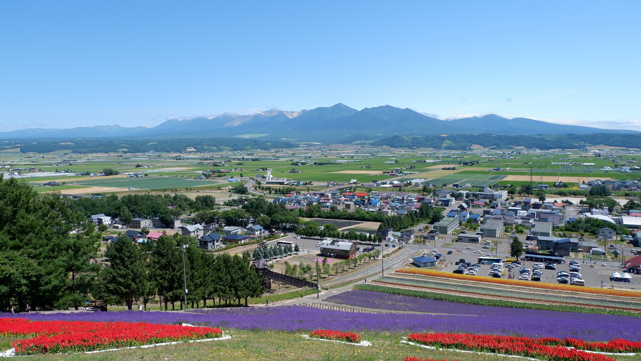 花和花火的夏天日本北海道之旅旭川市中富良野町美瑛町北滝町洞爷湖町