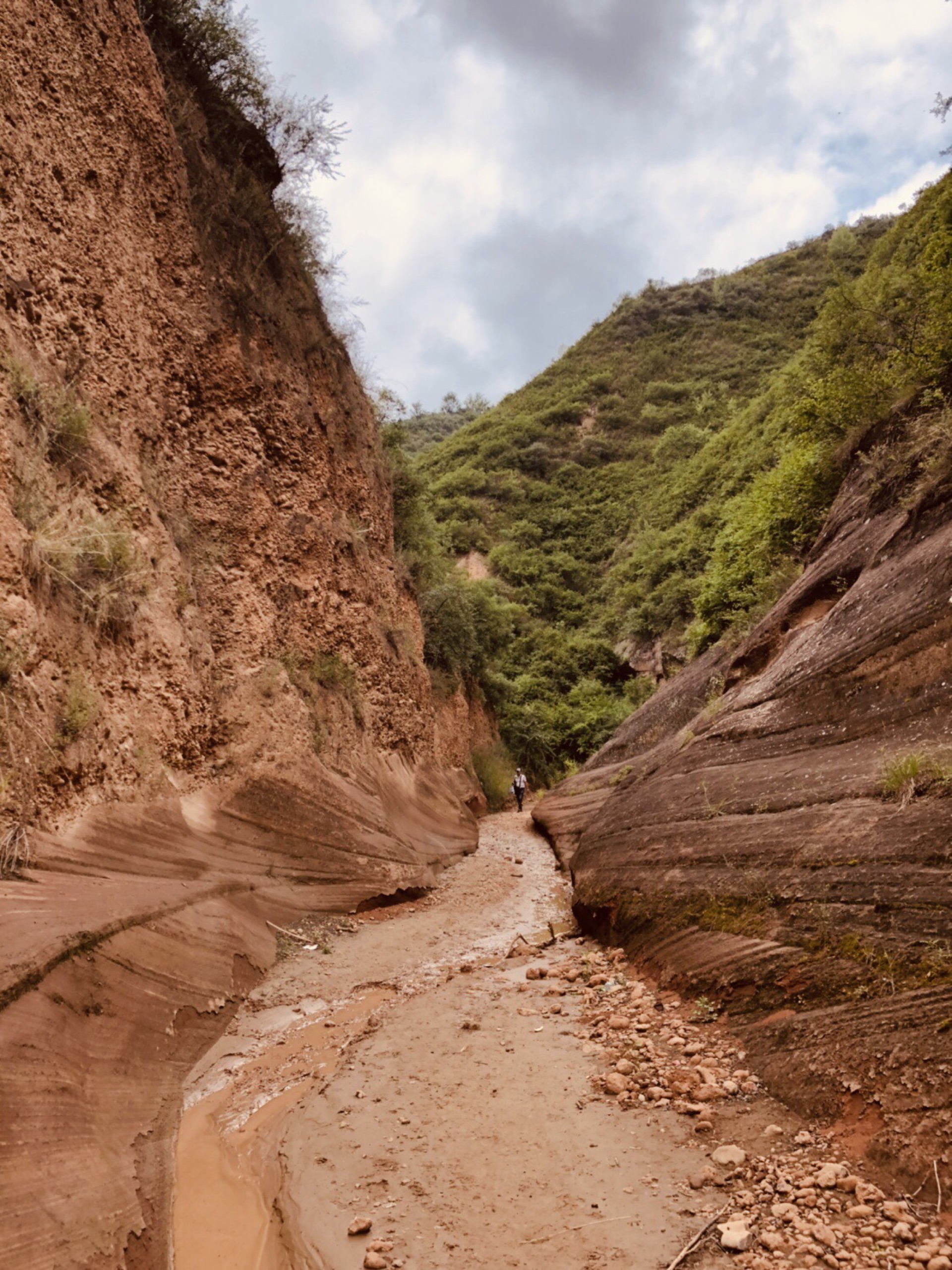 志丹景点介绍,志丹旅游景点,志丹景点推荐 - 马蜂窝