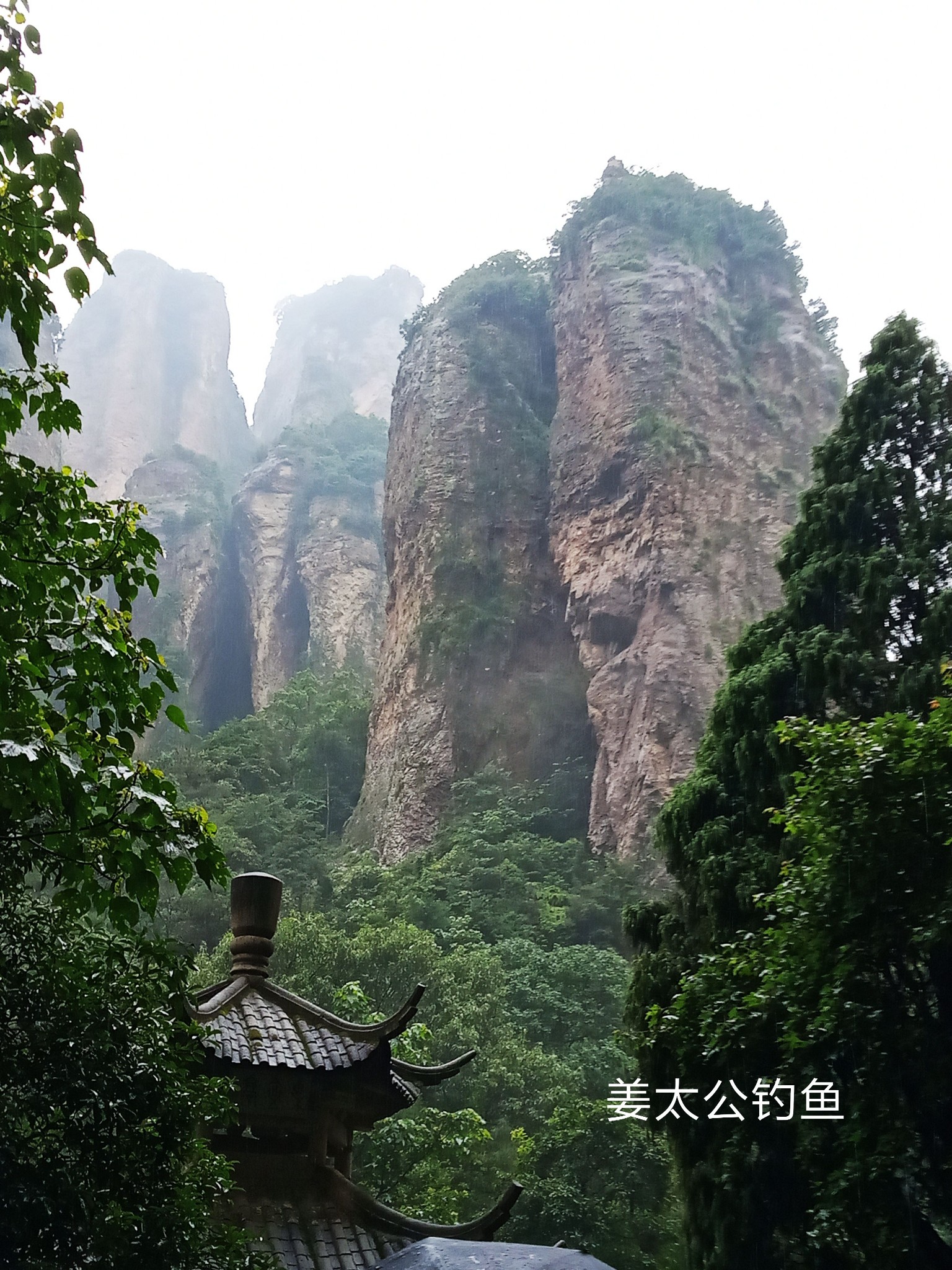 雁荡山国家森林公园-灵峰景区