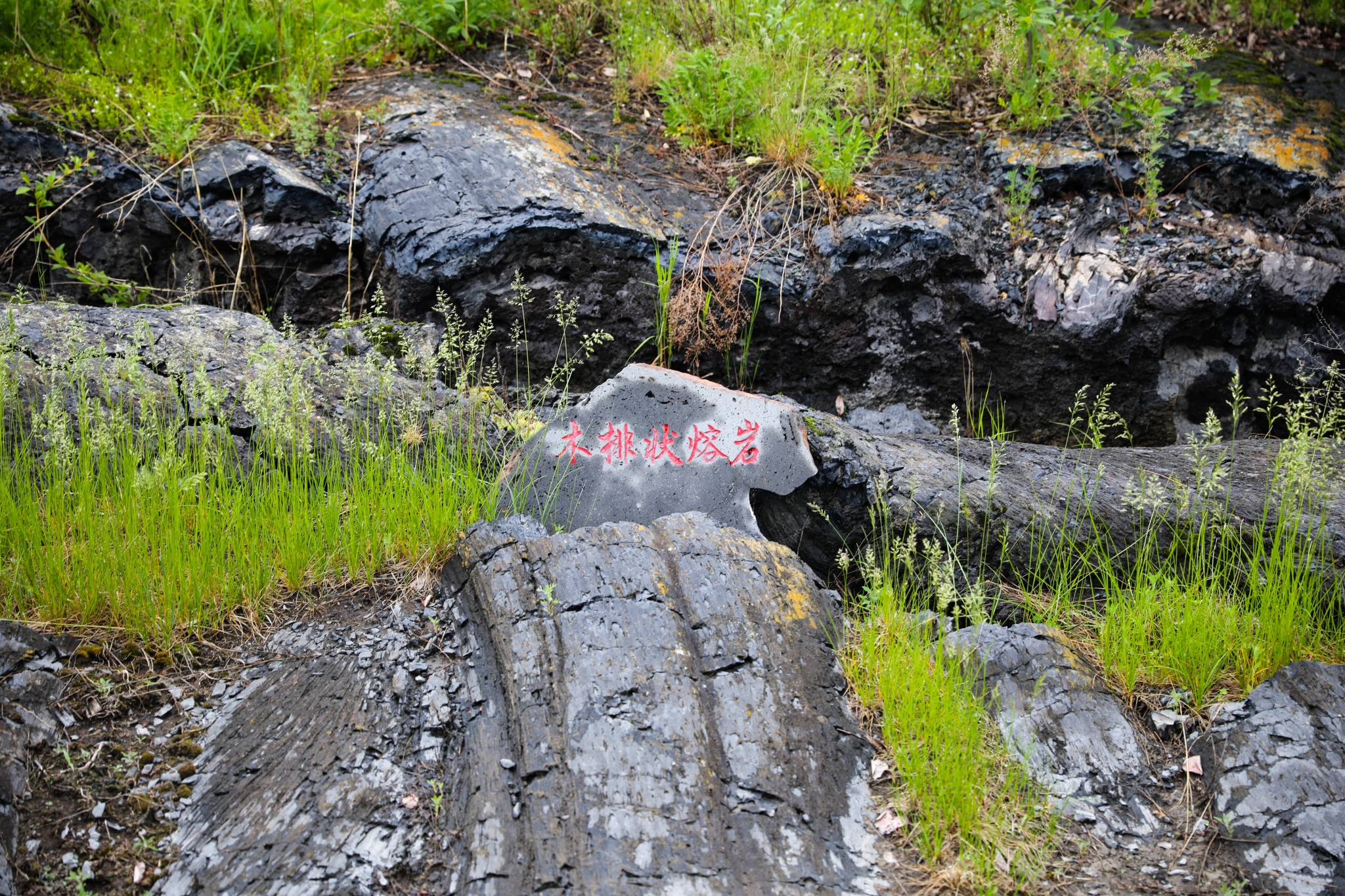 探秘中国最年轻的火山口——五大连池老黑山,黑河自助