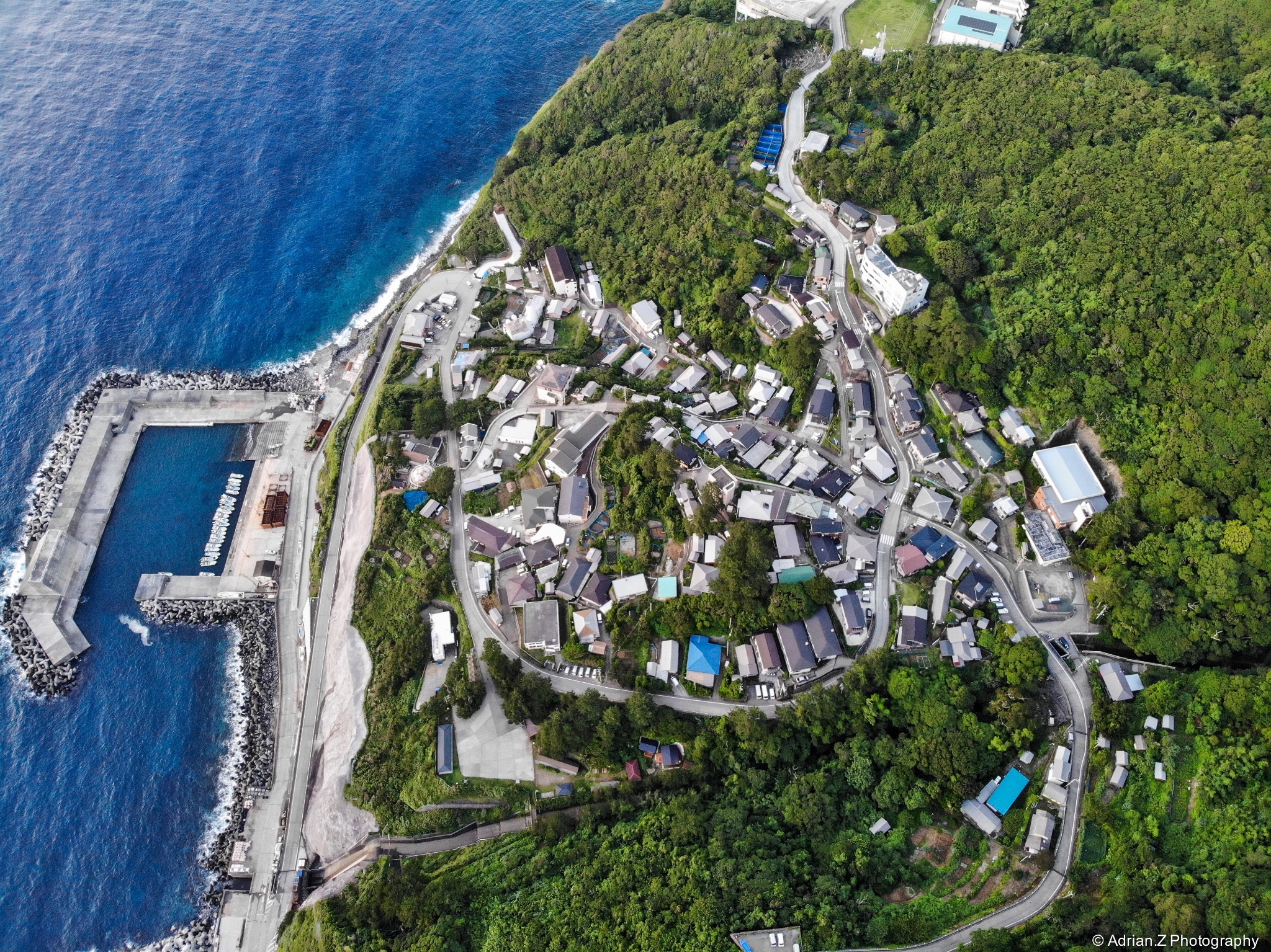 日本的秘境岛屿游客来这里只有一个目的与海豚共舞