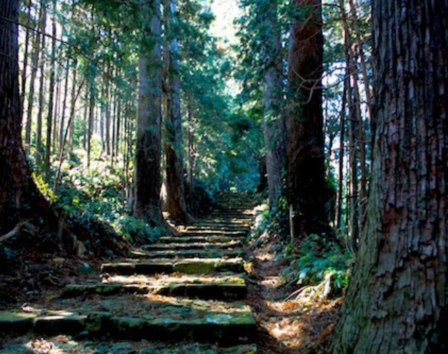 熊野古道—圣境修行之路