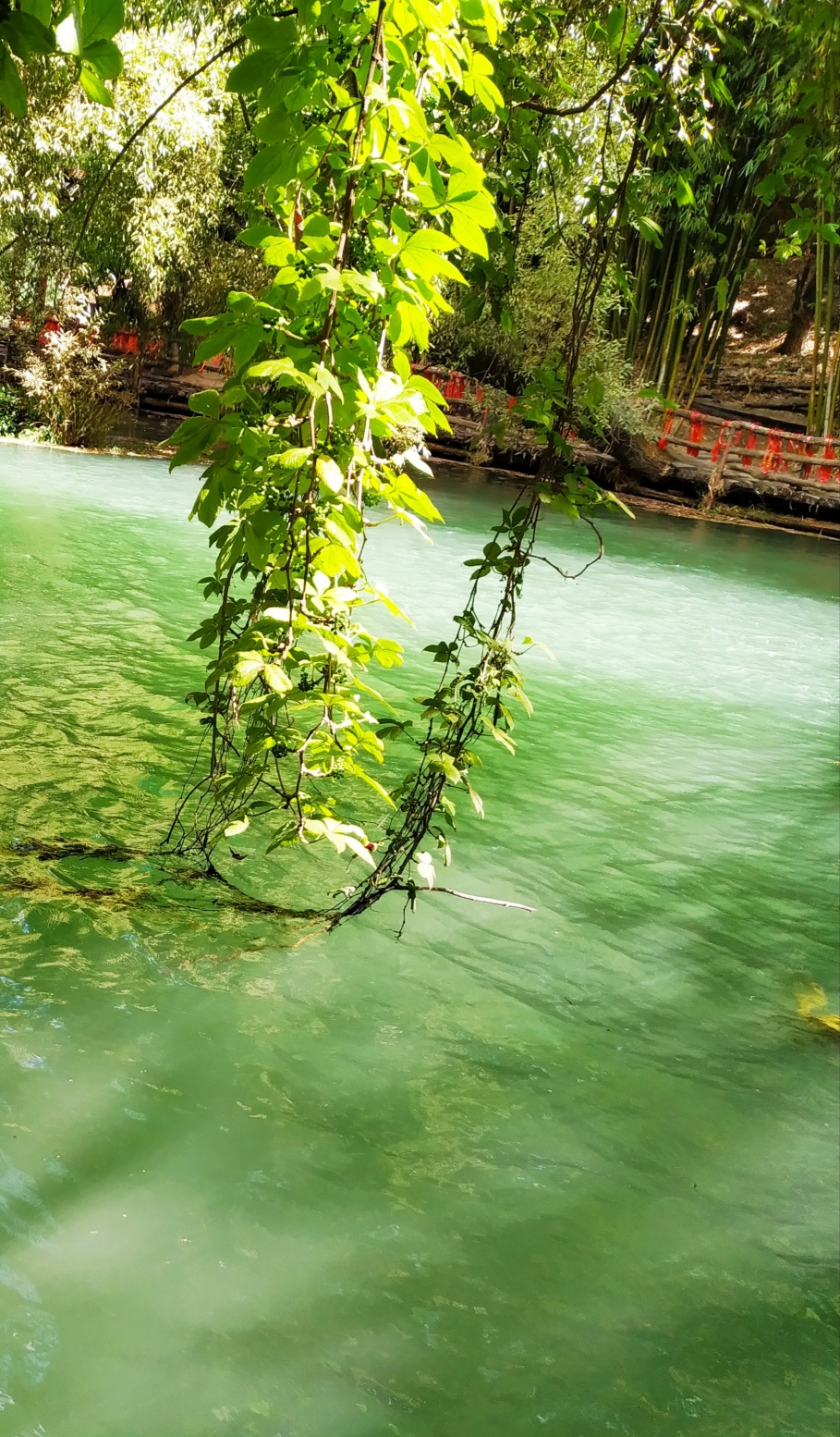 丽江三股水景区        