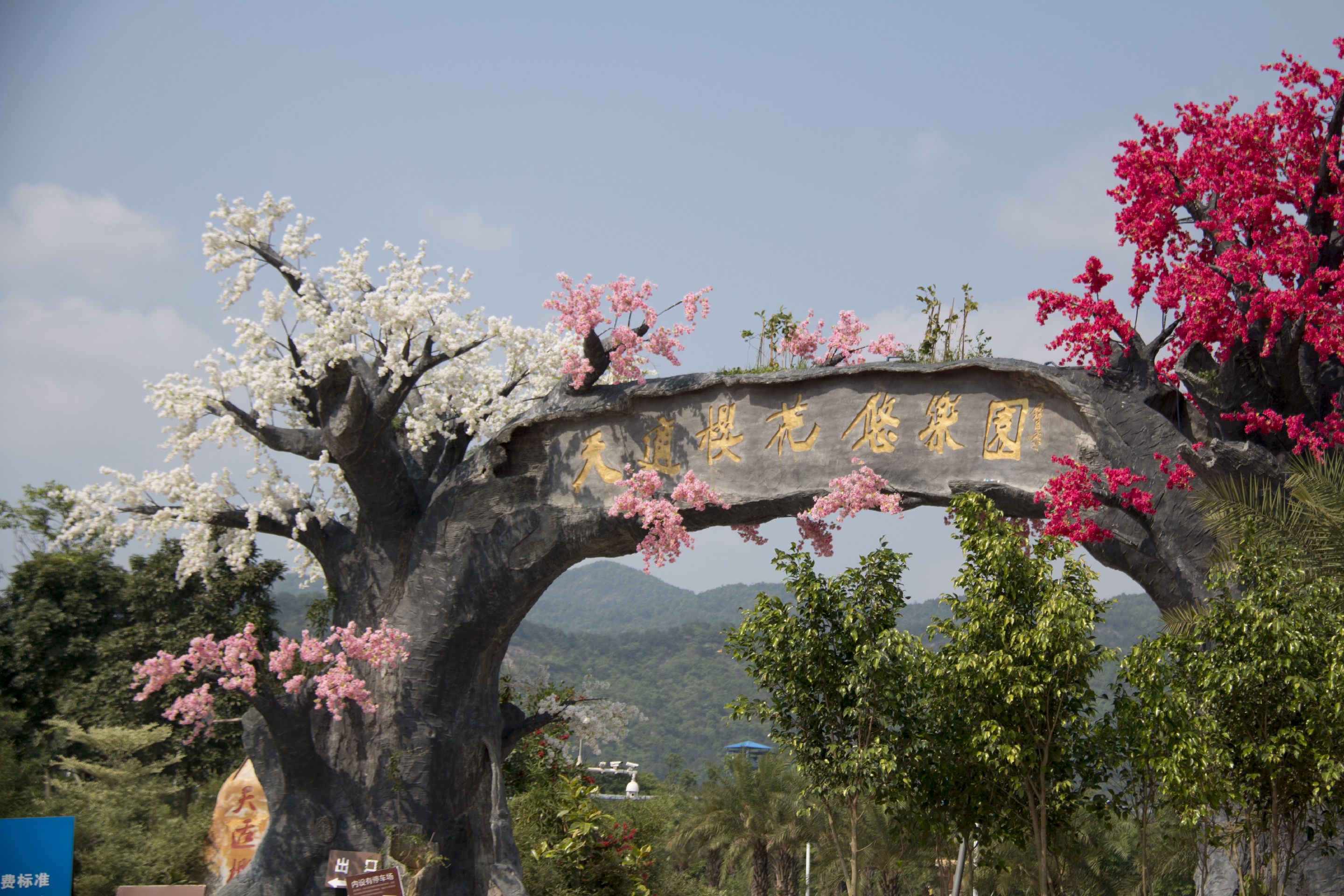 从化旅游图片,从化自助游图片,从化旅游景点照片 - 马蜂窝图库 - 马