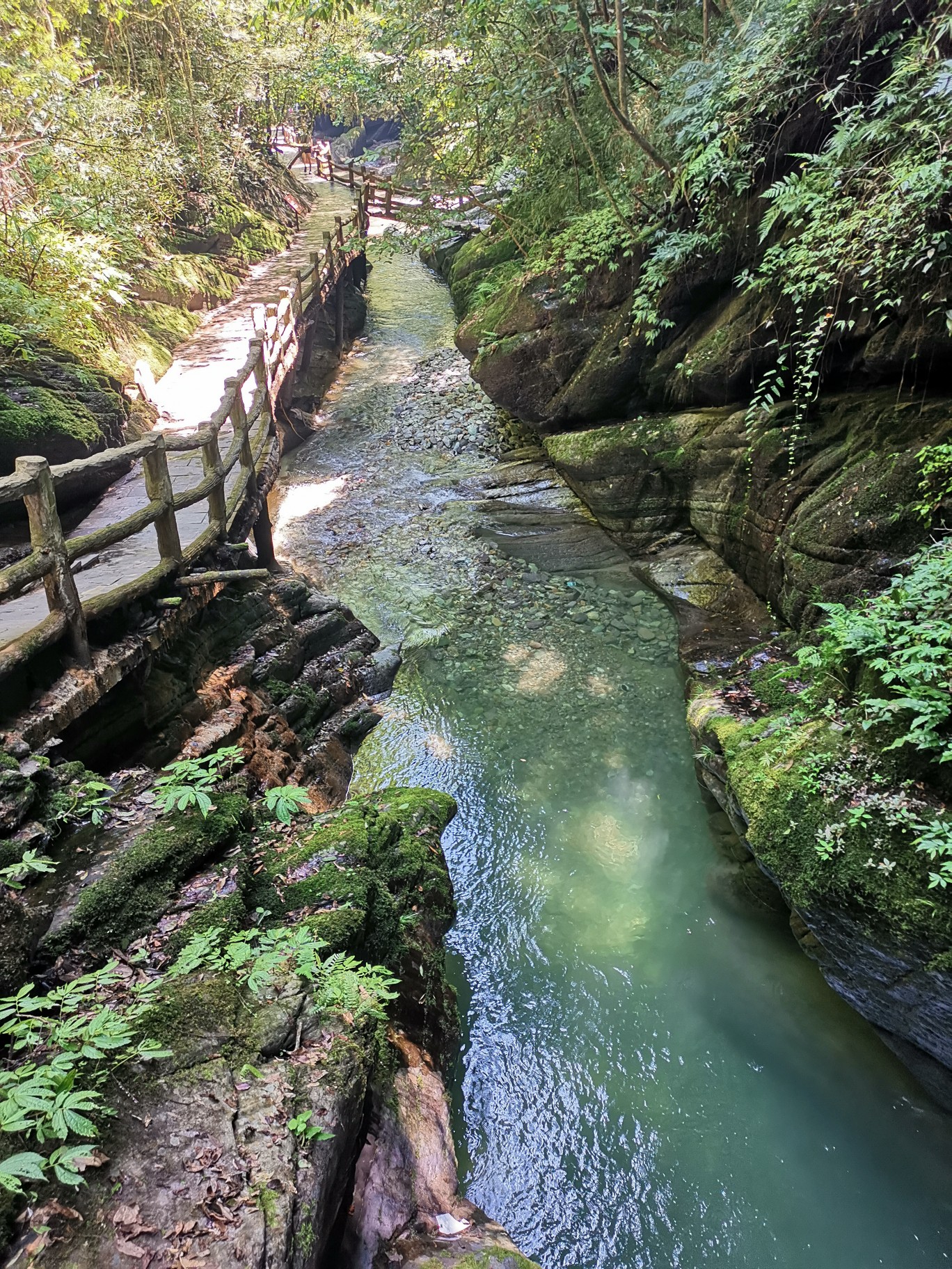 武陵山区掠影之八 (梵净山麓亚木沟)