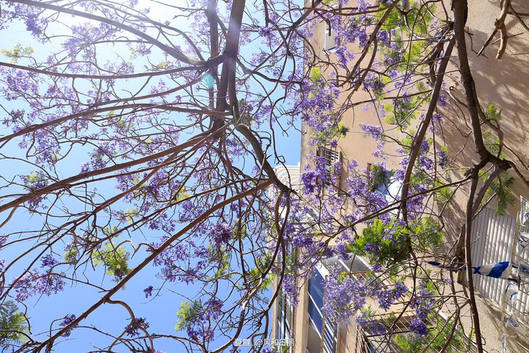 什么时候去以色列比较好