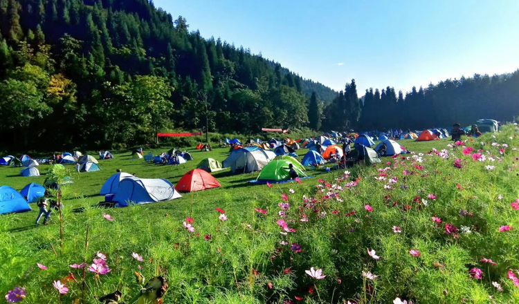 户外新呼吸 · 武陵山国家森林公园成人大门票