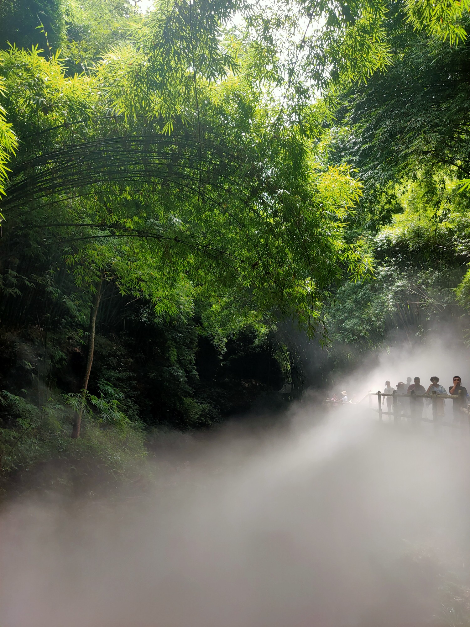 《川西竹海》"野竹分青霭,飞泉挂碧峰.",邛崃旅游攻略 - 马蜂窝