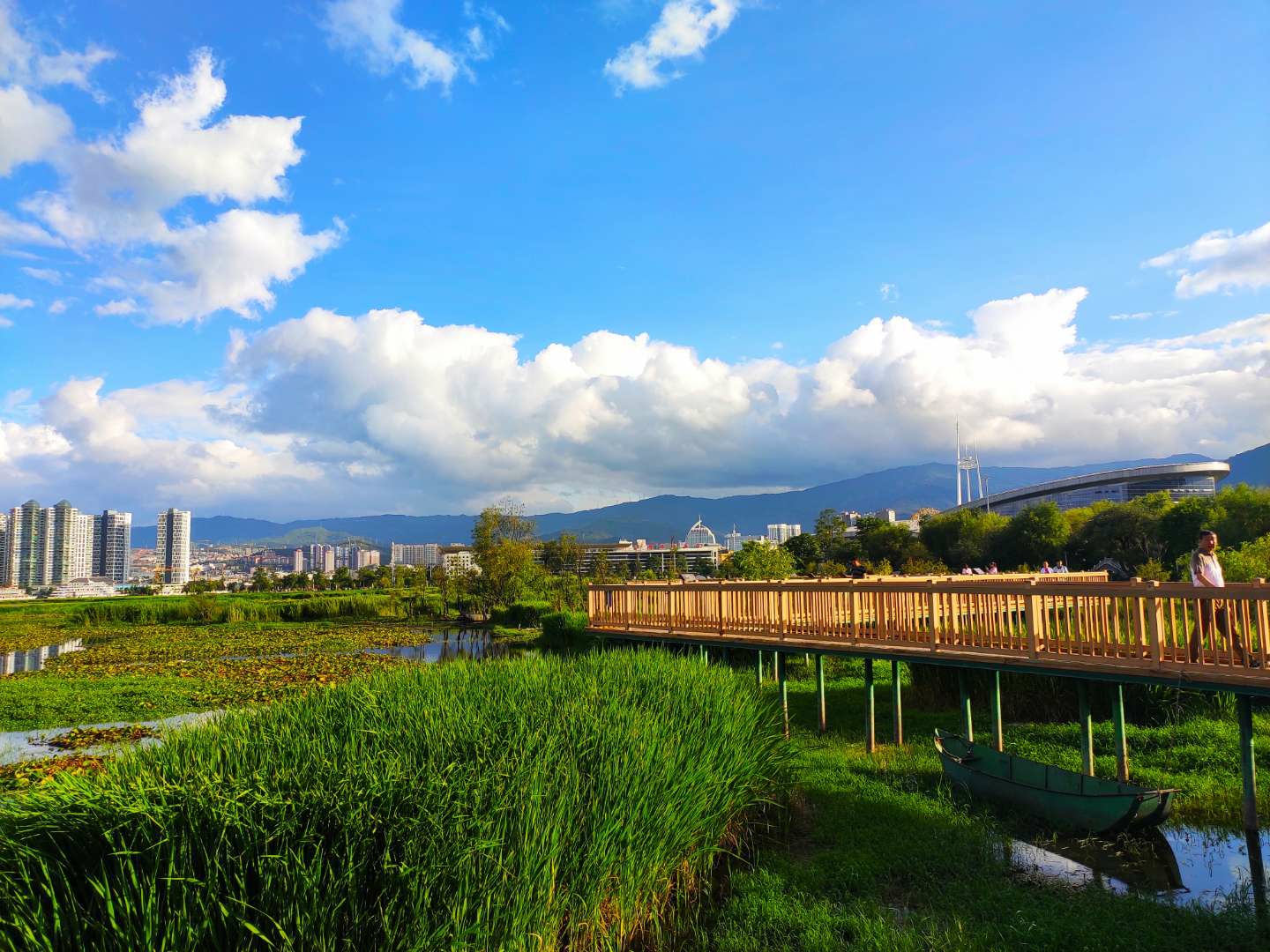 洱海月湿地公园        