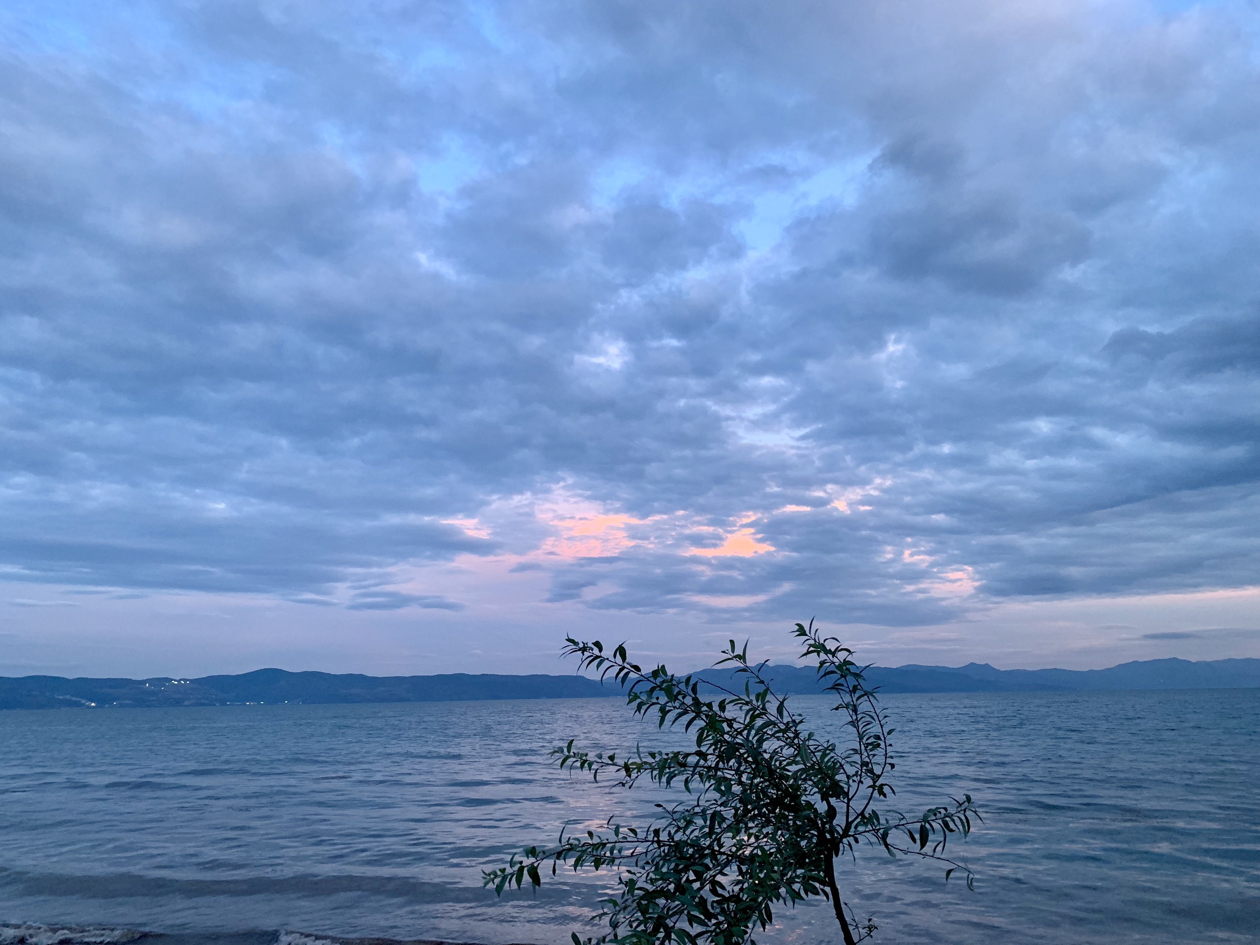 广龙抚海湾湿地公园