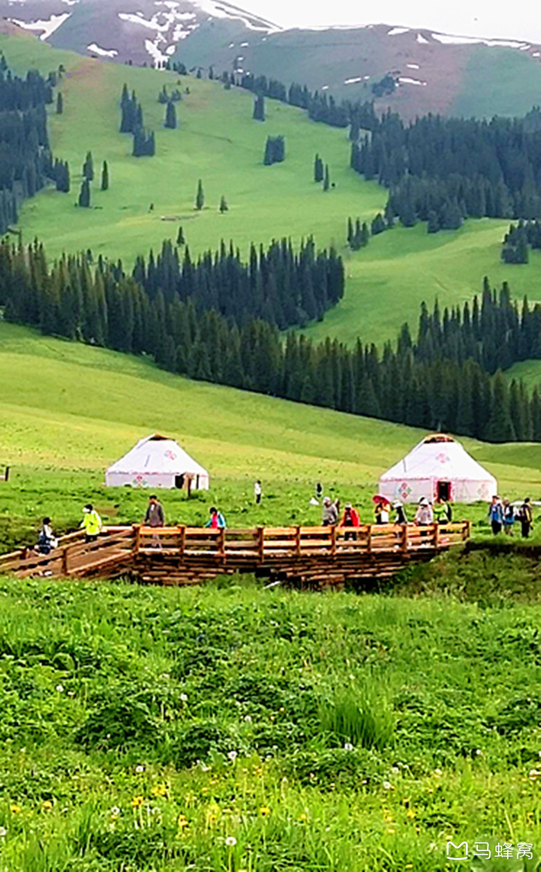 我的2019年度旅行回忆#(之五)新疆那拉提空中草原