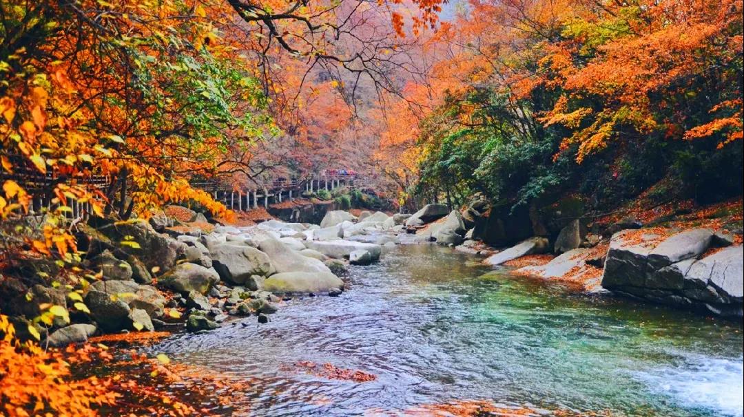 自驾秦巴山脉·光雾山醉佳秋景3日游(十八月潭 香炉山
