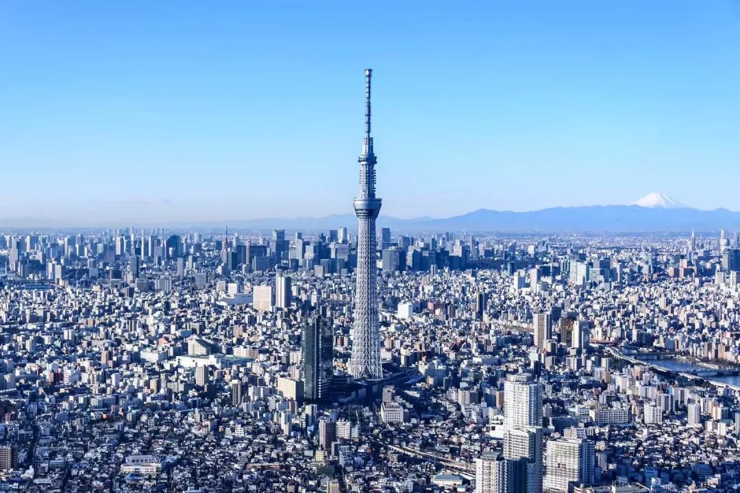 东京晴空塔上眺望冬日清澄美景,城市景观尽收眼底