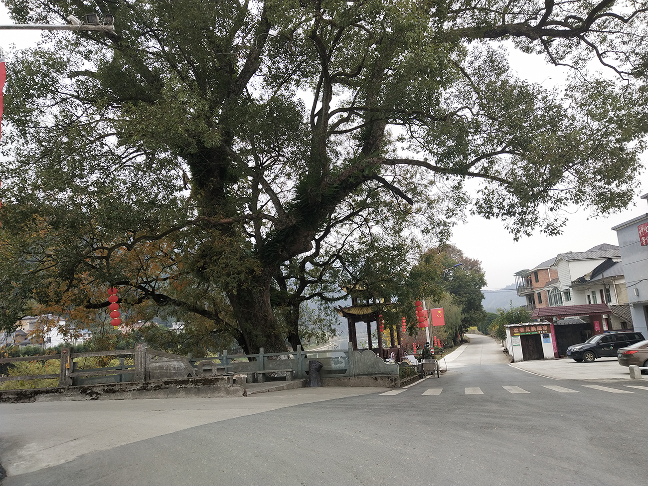 这个冬天与精彩华埠面对面