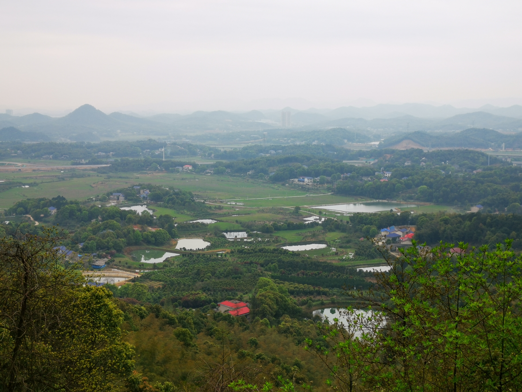 老长沙带你发现小众赏樱佳处望城玉湖公园乌山森林公园