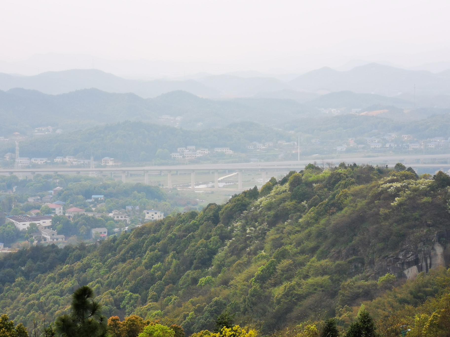 老长沙带你发现小众赏樱佳处望城玉湖公园乌山森林公园