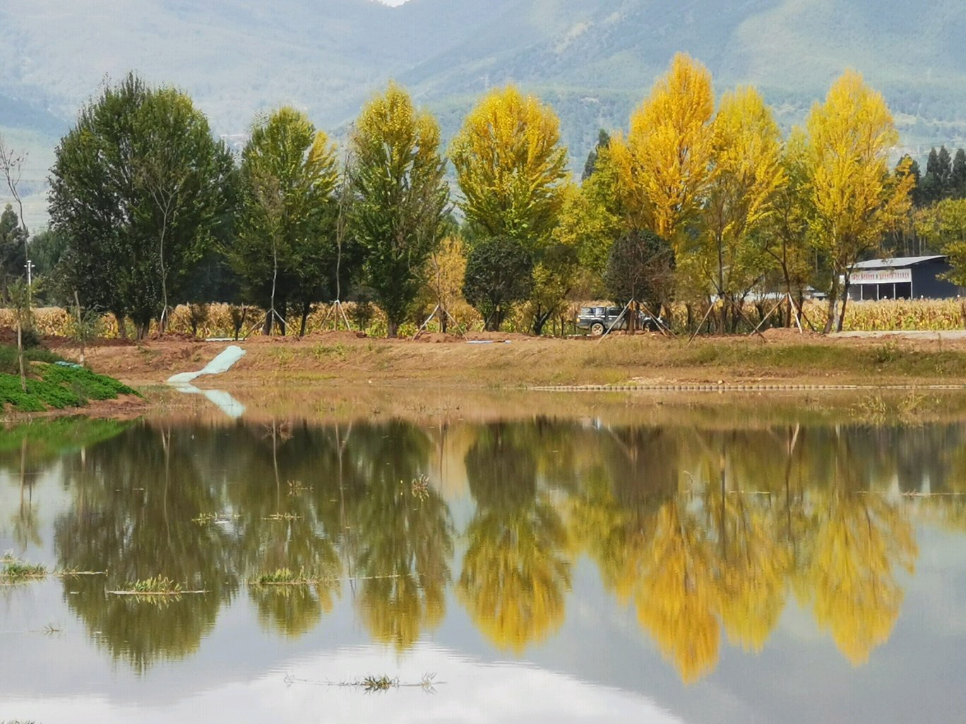 香格里拉到兰坪旅游