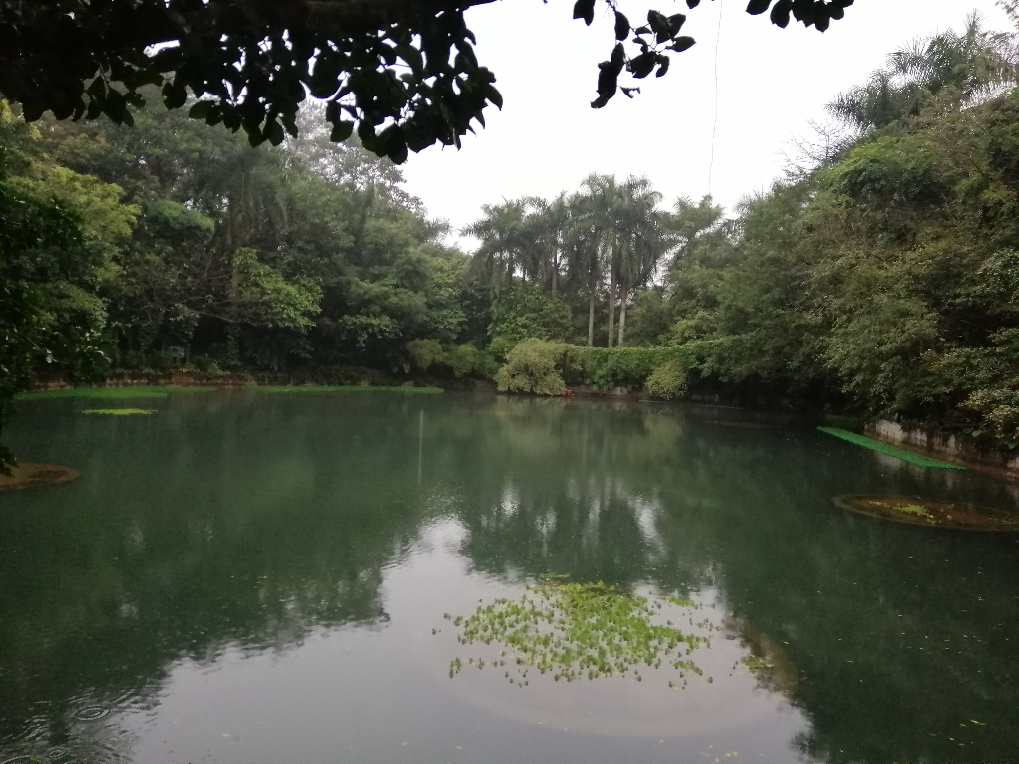 广西云南春游记