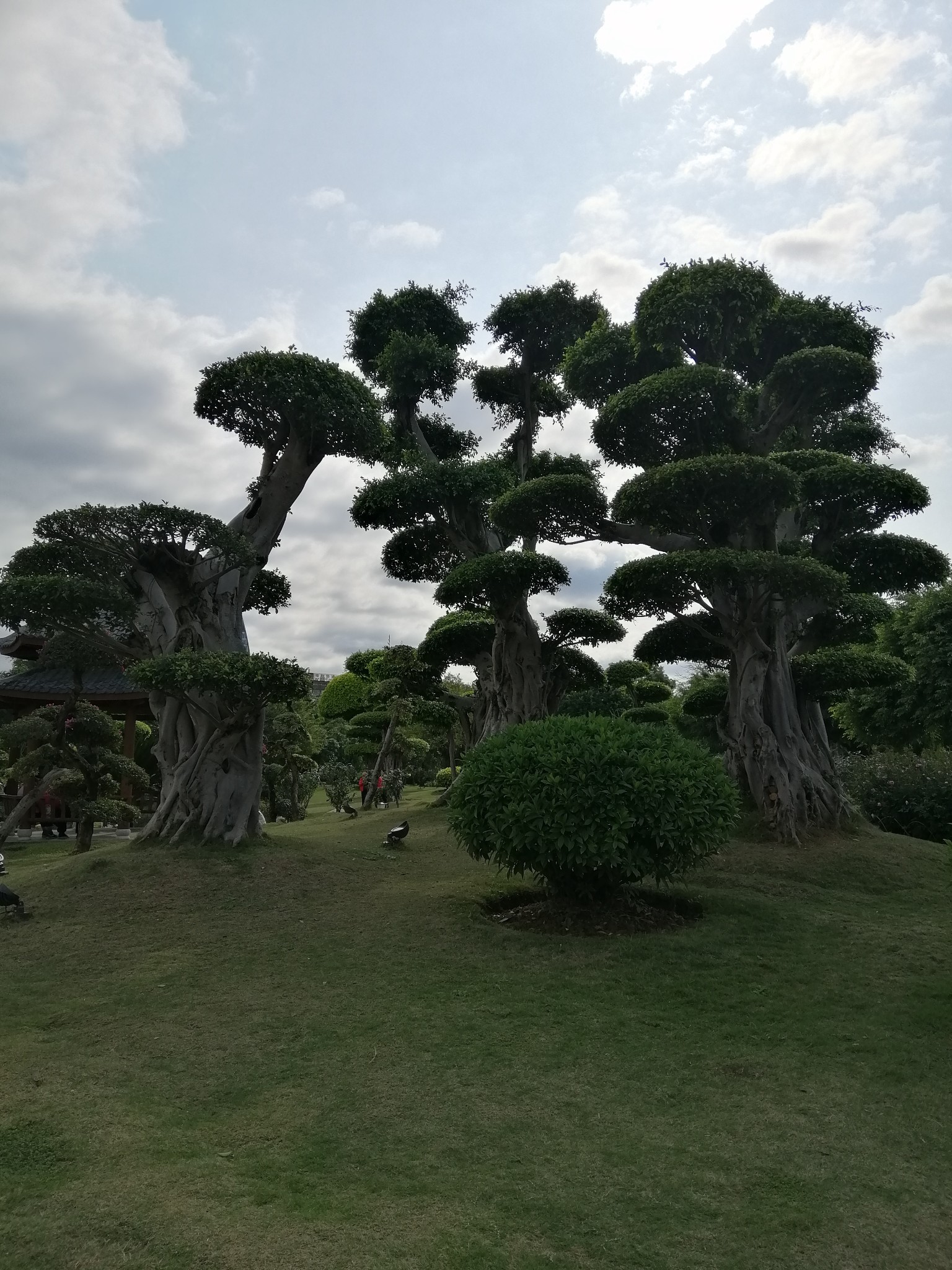 广西云南春游记