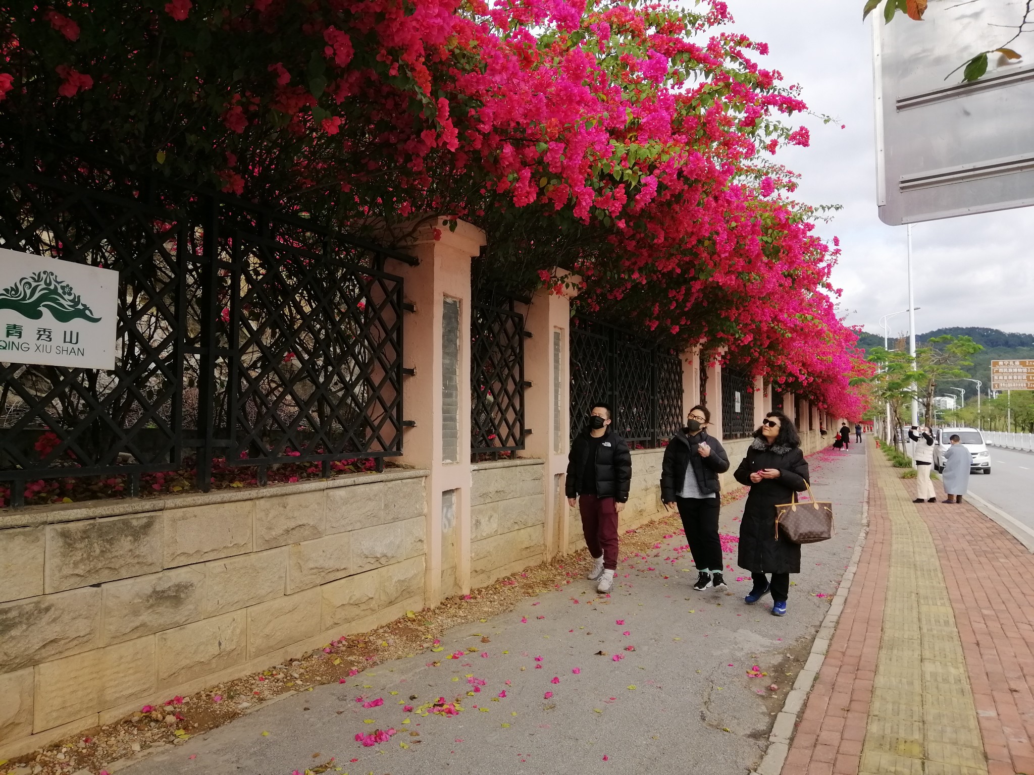 广西云南春游记