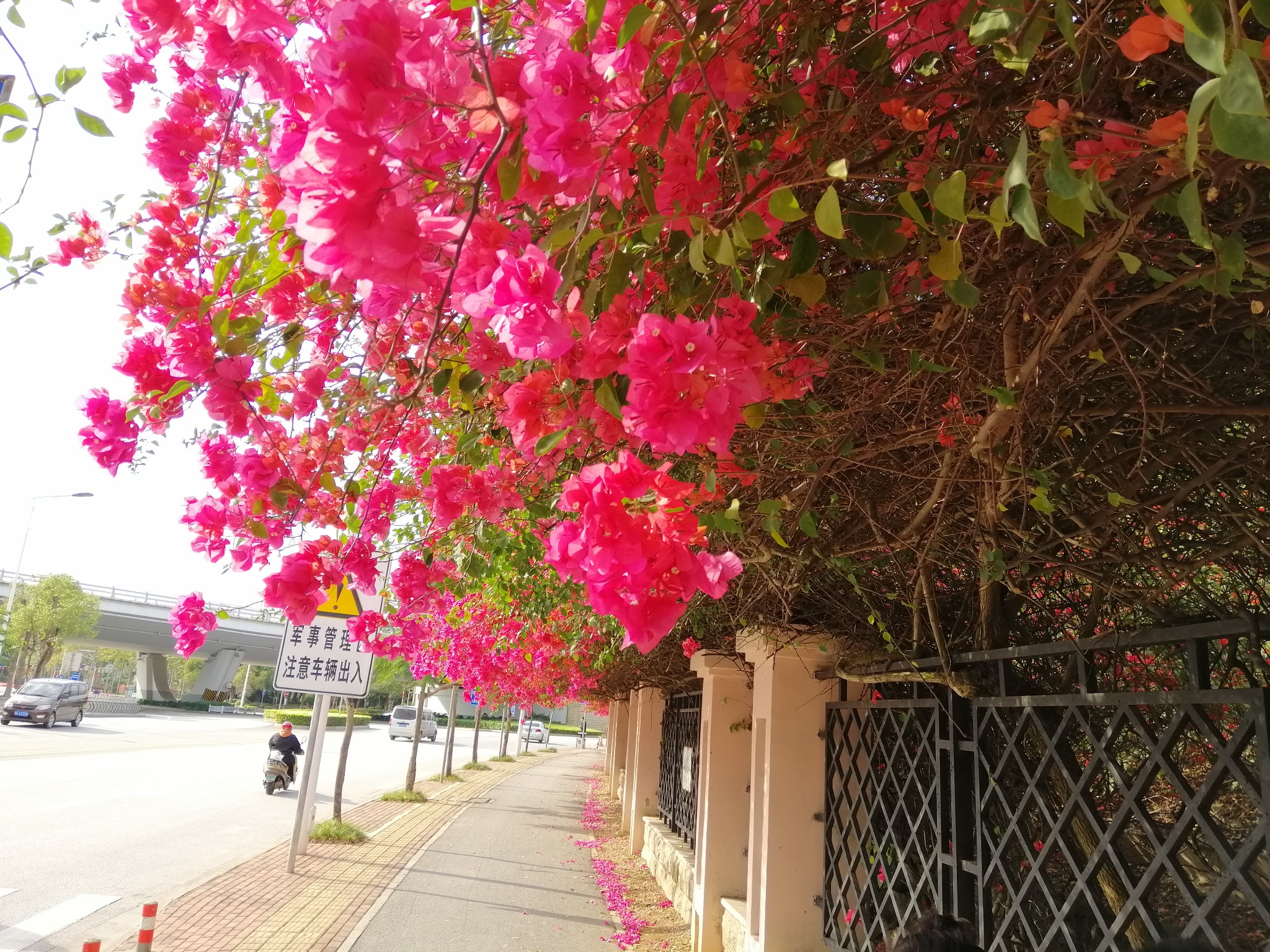 广西云南春游记