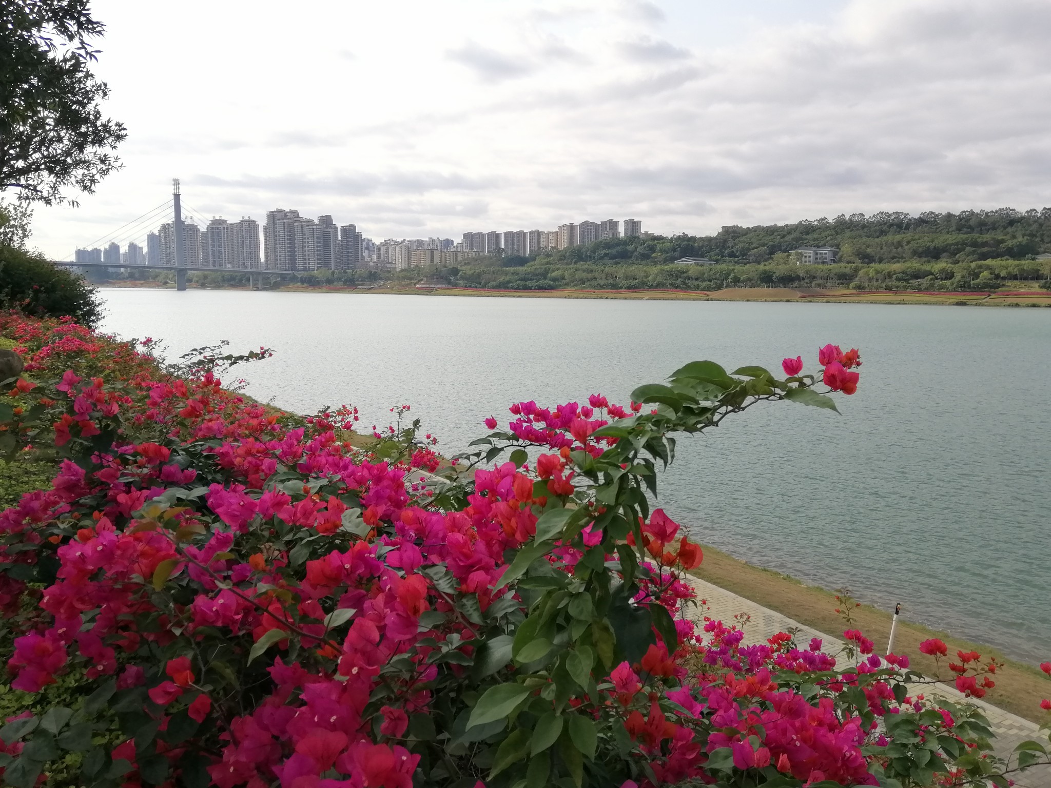 广西云南春游记