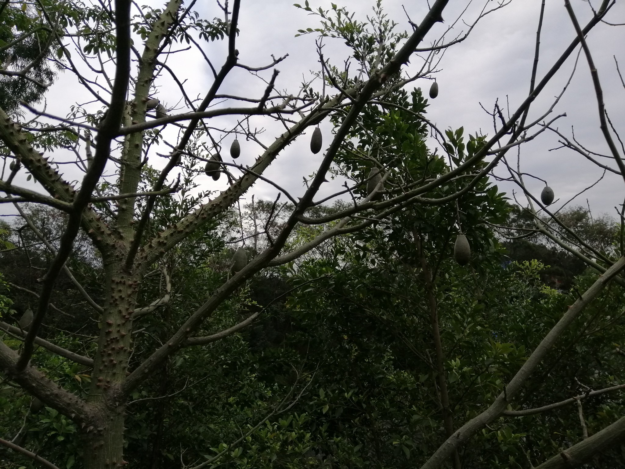 广西云南春游记