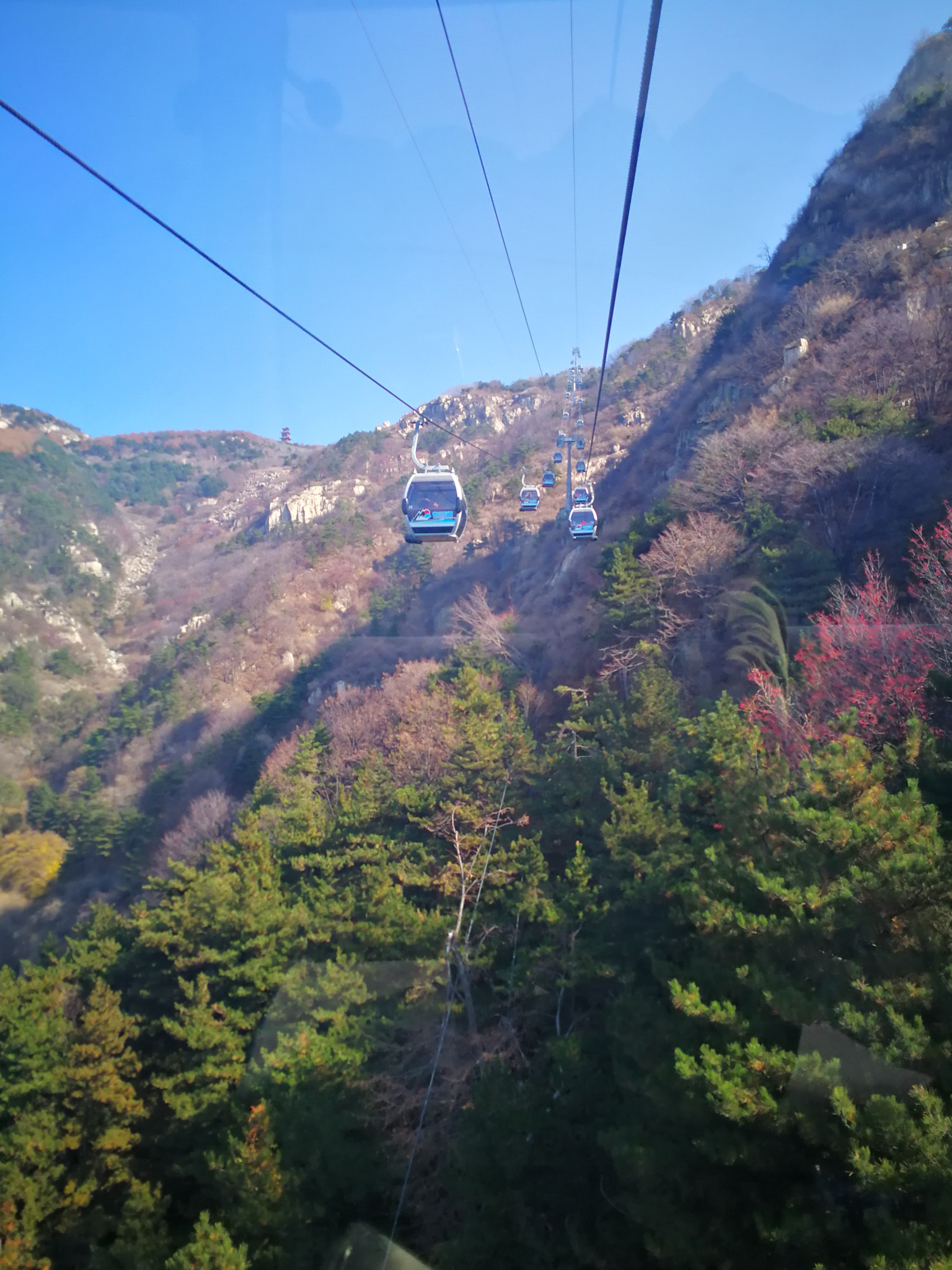 陪伴父母儿女去泰山观日出,游岱庙,玩泰安方特乐园(4天)_游记